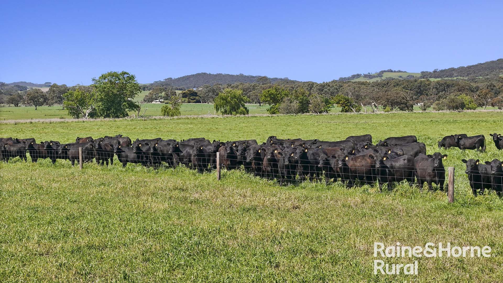 160 Rowley Road, Myponga For Sale by Farmbuy.com - image 9