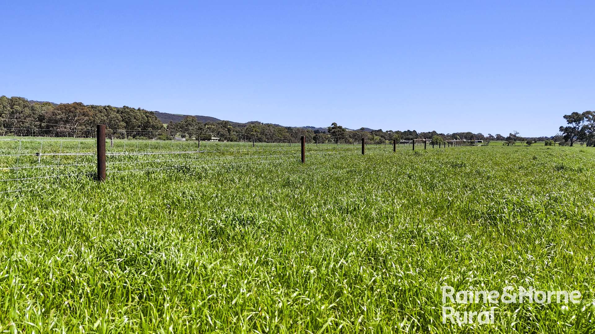 160 Rowley Road, Myponga For Sale by Farmbuy.com - image 4