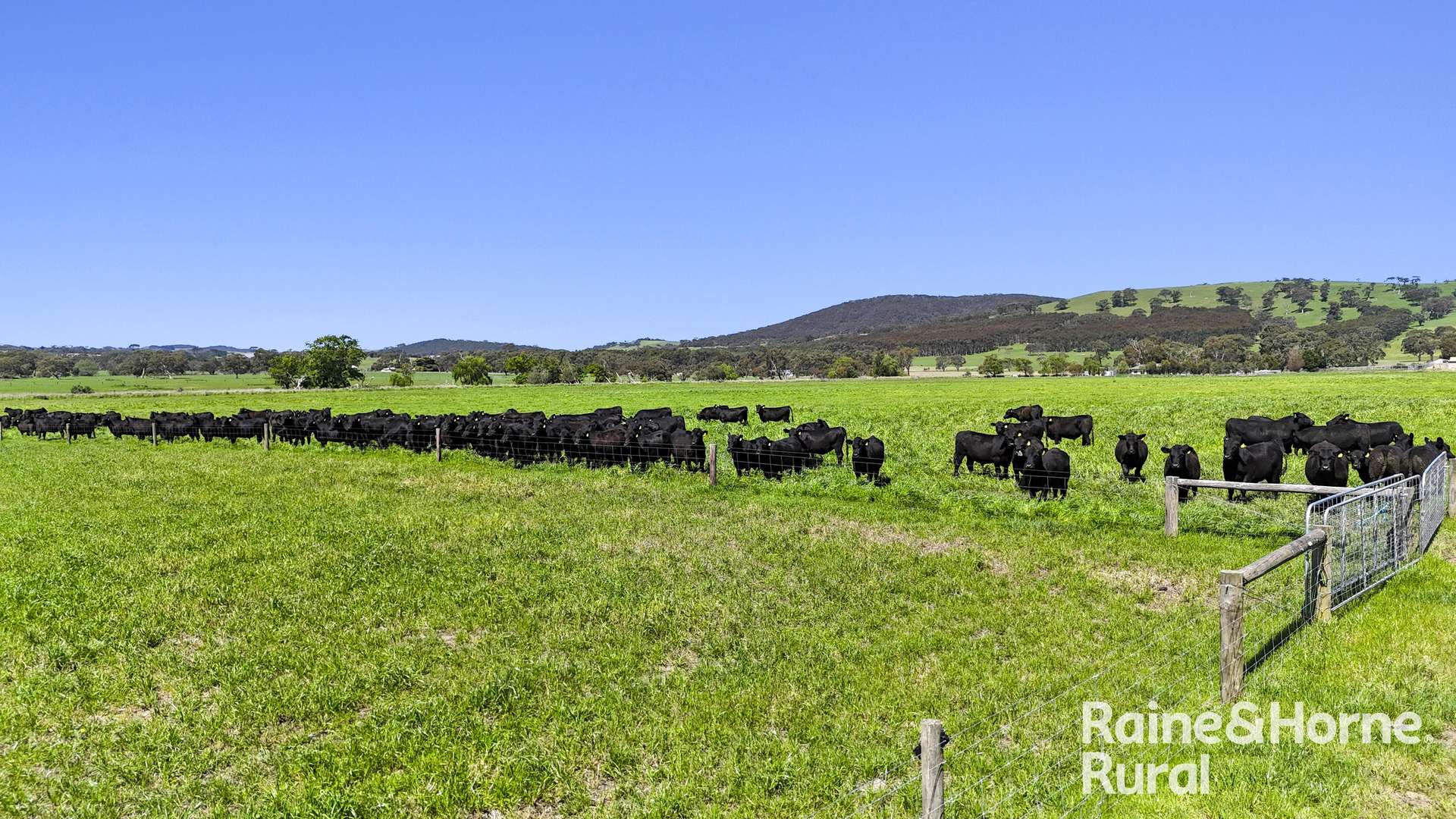 160 Rowley Road, Myponga For Sale by Farmbuy.com - image 22