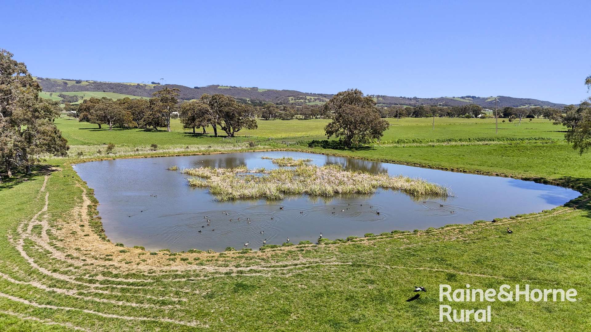160 Rowley Road, Myponga For Sale by Farmbuy.com - image 23
