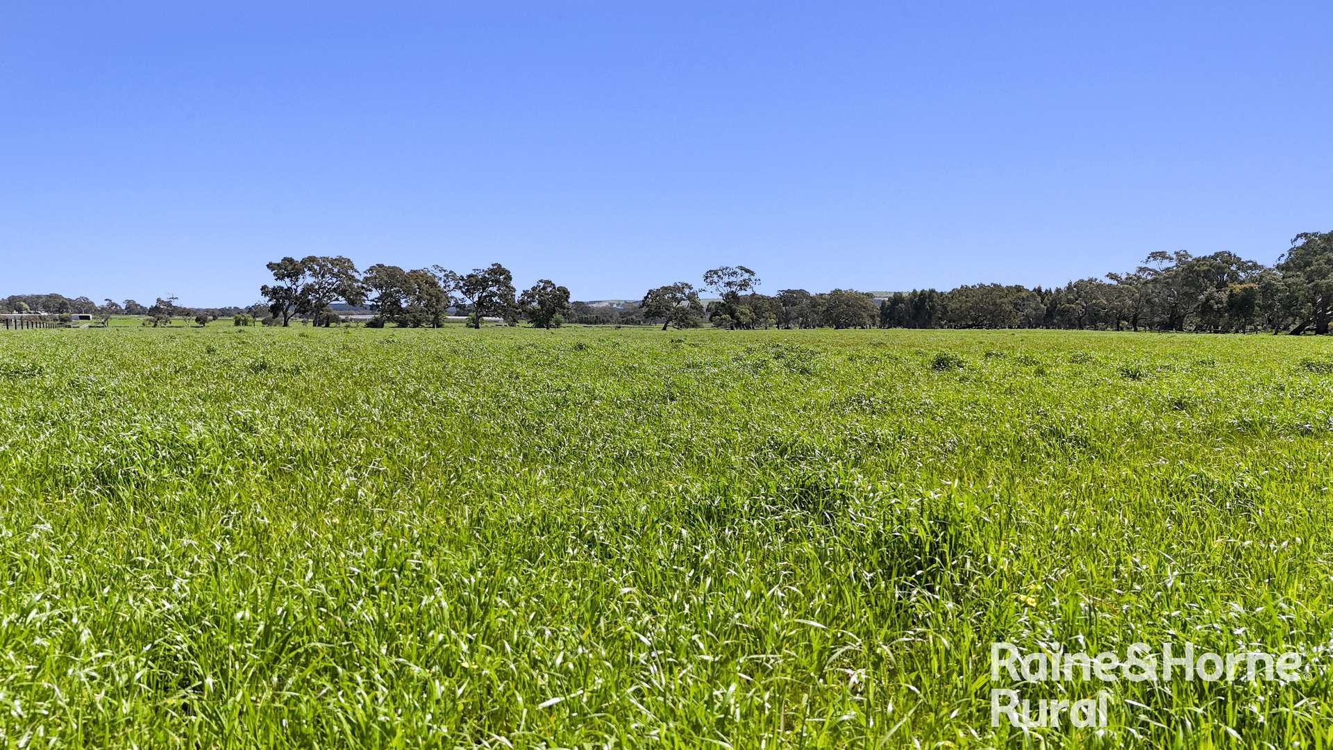 160 Rowley Road, Myponga For Sale by Farmbuy.com - image 13