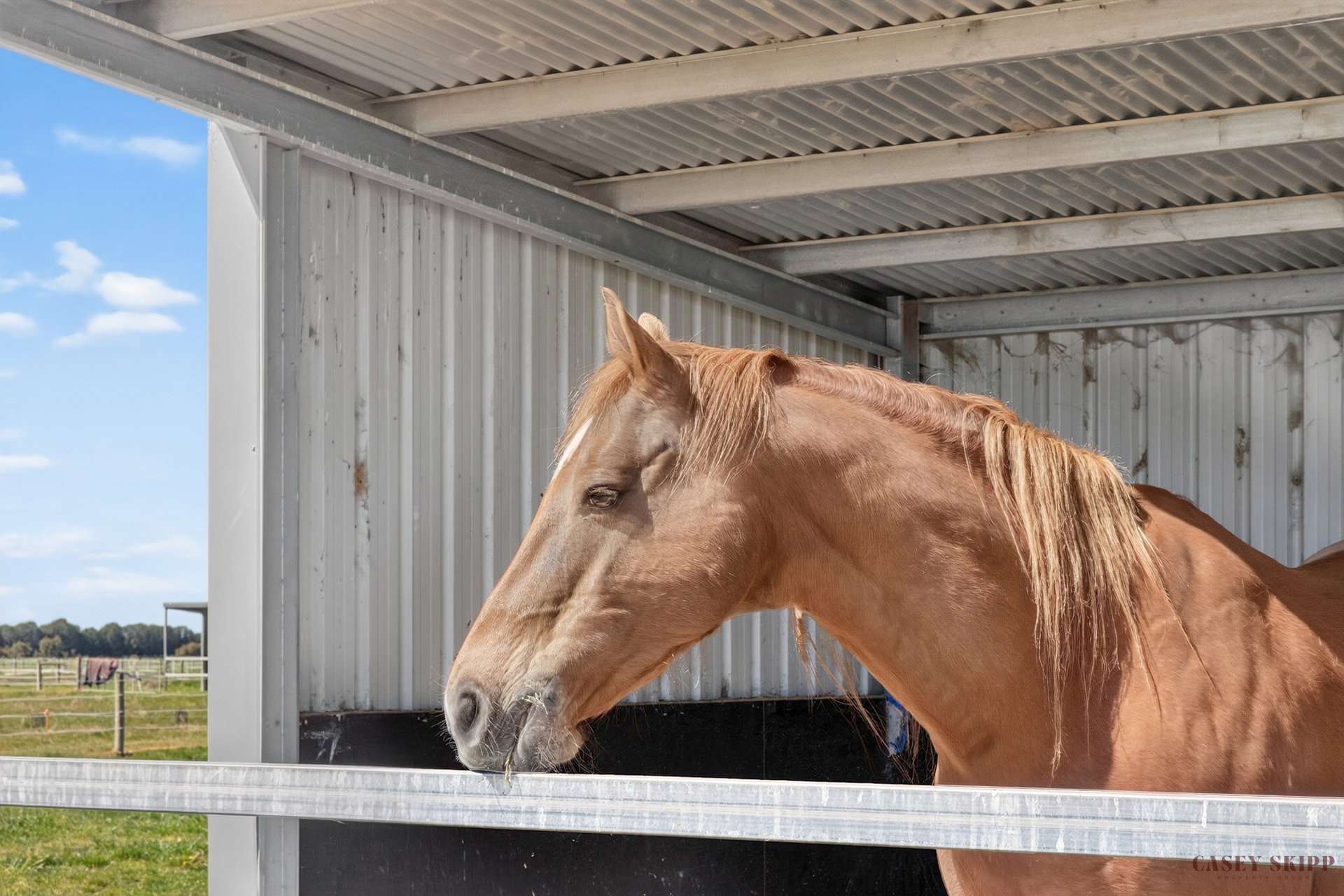 75 Bengworden Road, Bairnsdale For Sale by Farmbuy.com - image 17