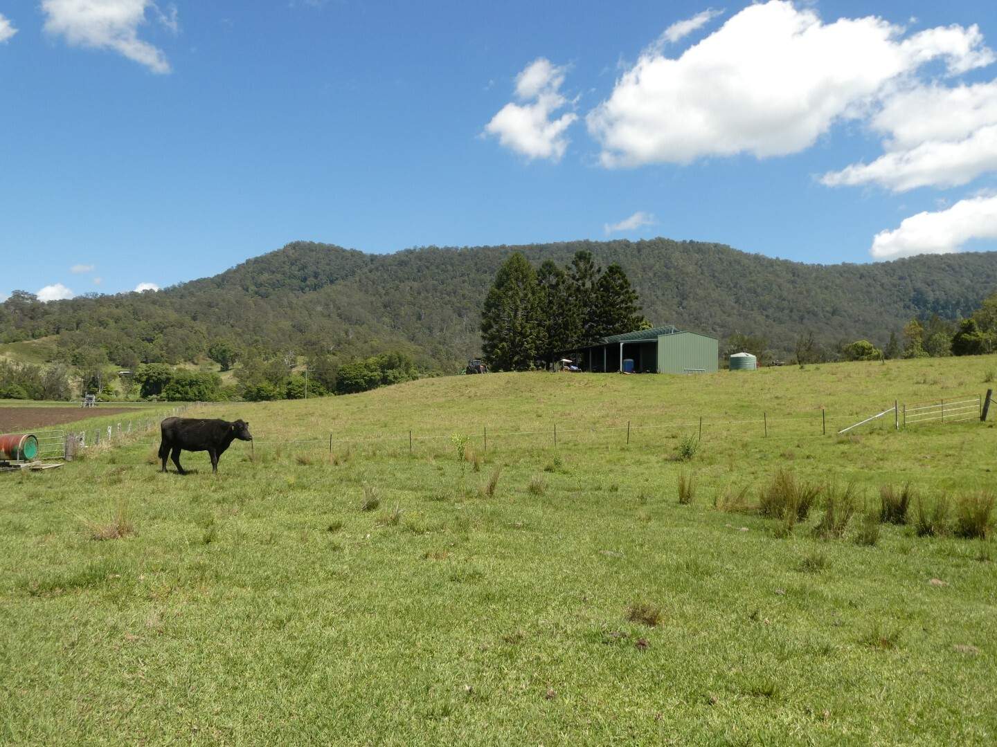Lot 1 Sherwood Road, Kyogle For Sale by Farmbuy.com - image 31