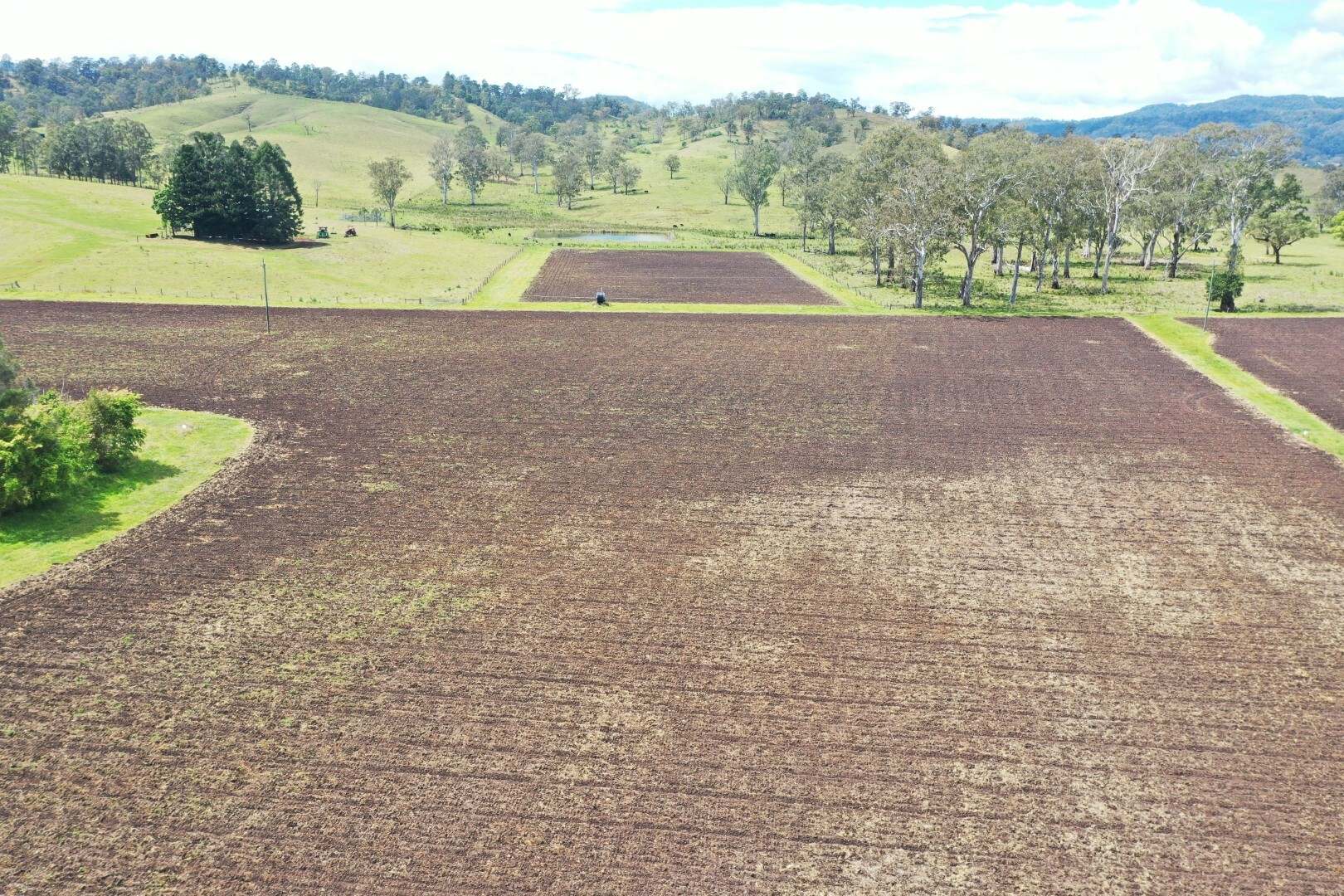 Lot 1 Sherwood Road, Kyogle For Sale by Farmbuy.com - image 3