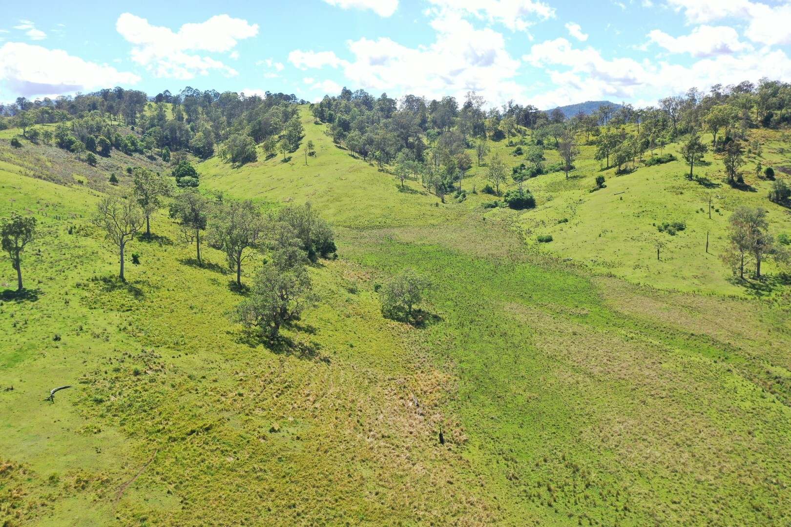 Lot 1 Sherwood Road, Kyogle For Sale by Farmbuy.com - image 16