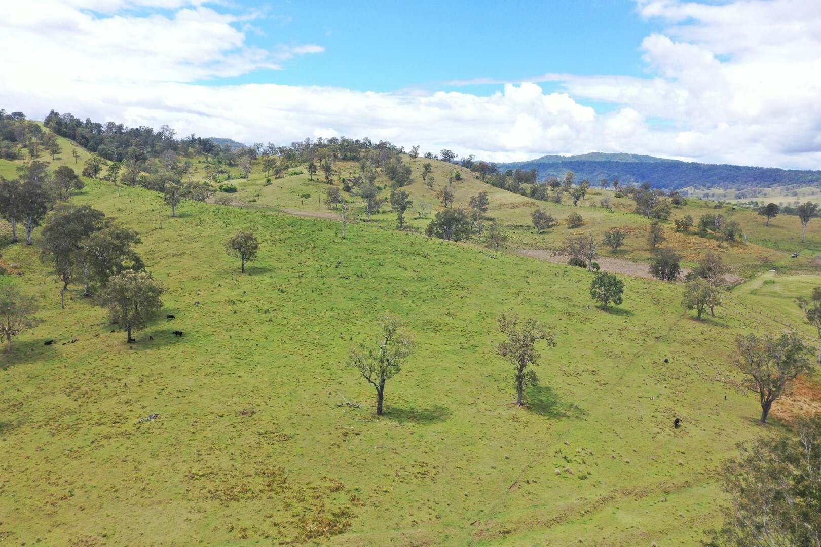 Lot 1 Sherwood Road, Kyogle For Sale by Farmbuy.com - image 17