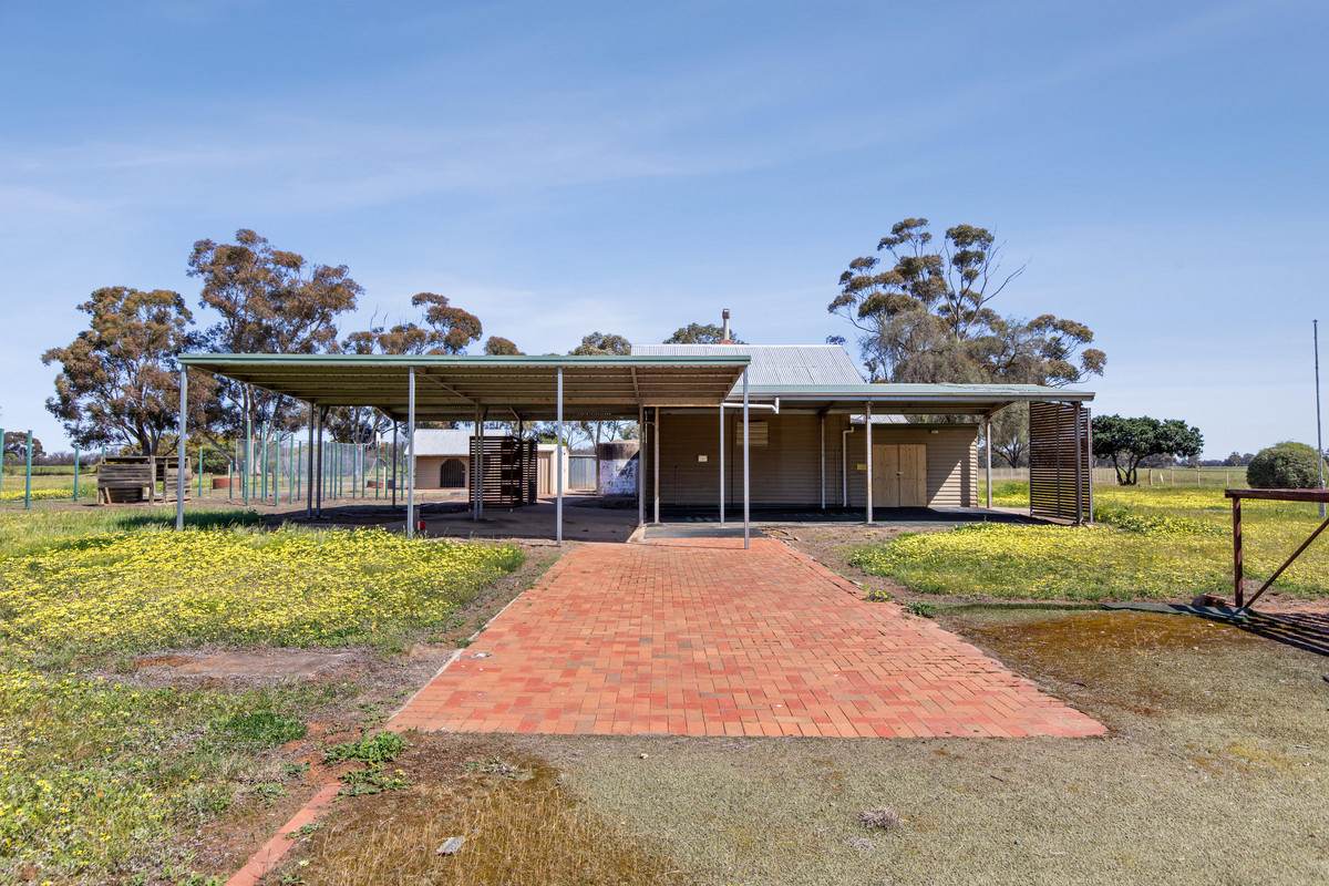 1909 Drummartin Road, Drummartin Auction by Farmbuy.com - image 11