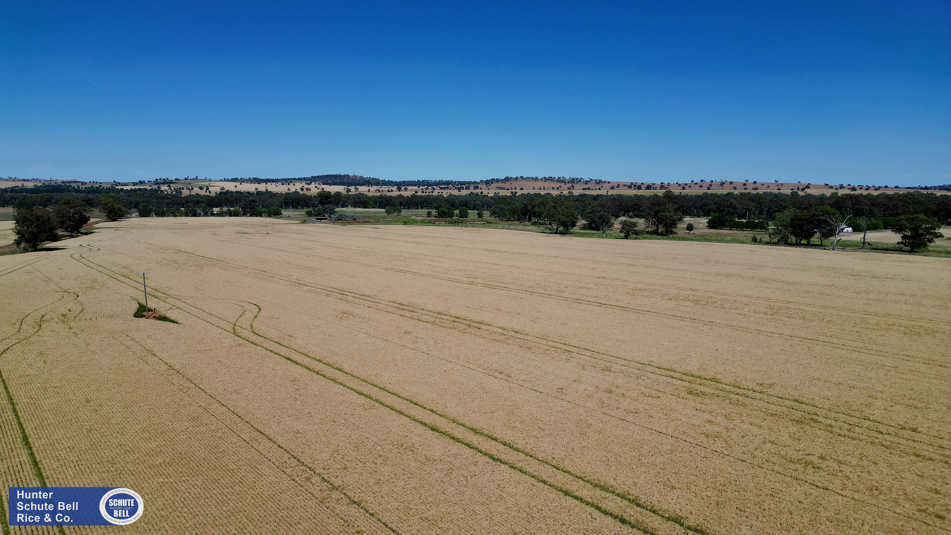 9889 Renshaw McGirr Way, Parkes Auction by Farmbuy.com - image 23