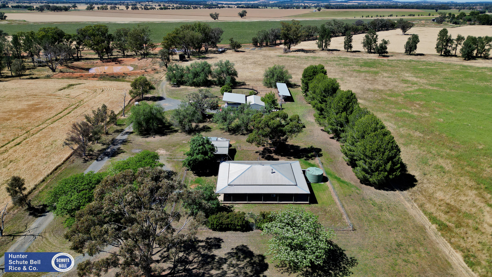 9889 Renshaw McGirr Way, Parkes Auction by Farmbuy.com - image 1