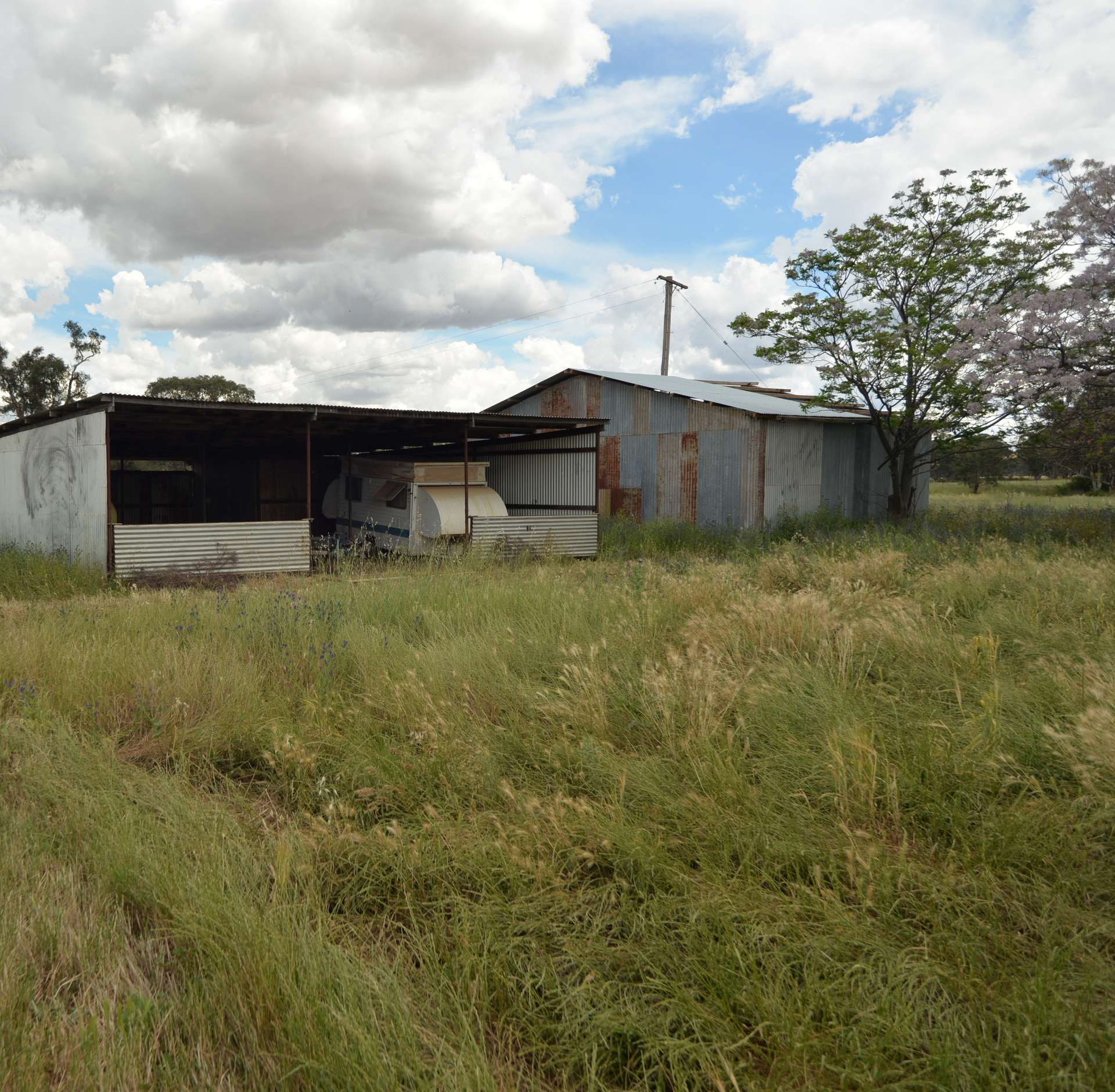 9889 Renshaw McGirr Way, Parkes Auction by Farmbuy.com - image 22
