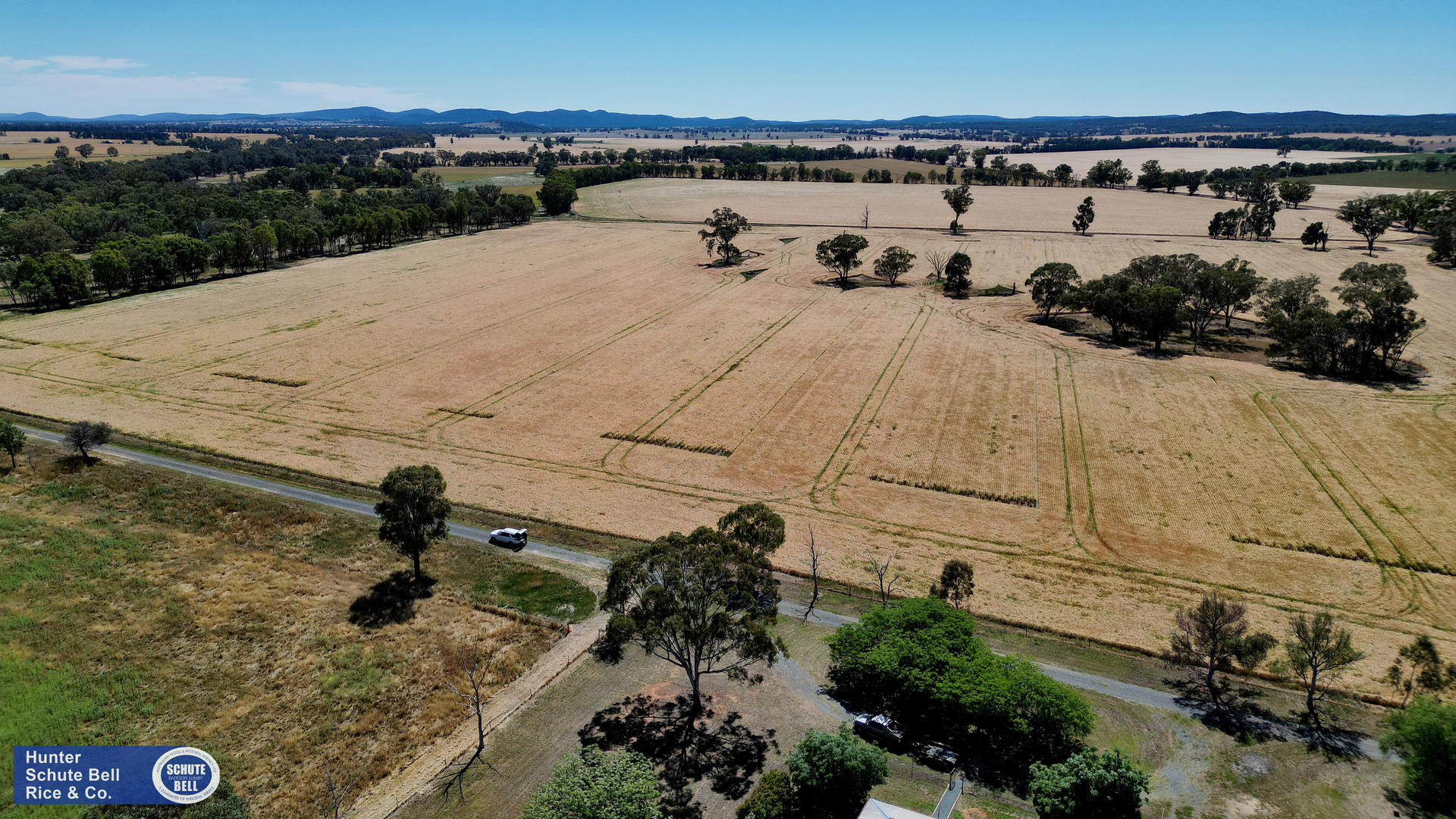 9889 Renshaw McGirr Way, Parkes Auction by Farmbuy.com - image 9