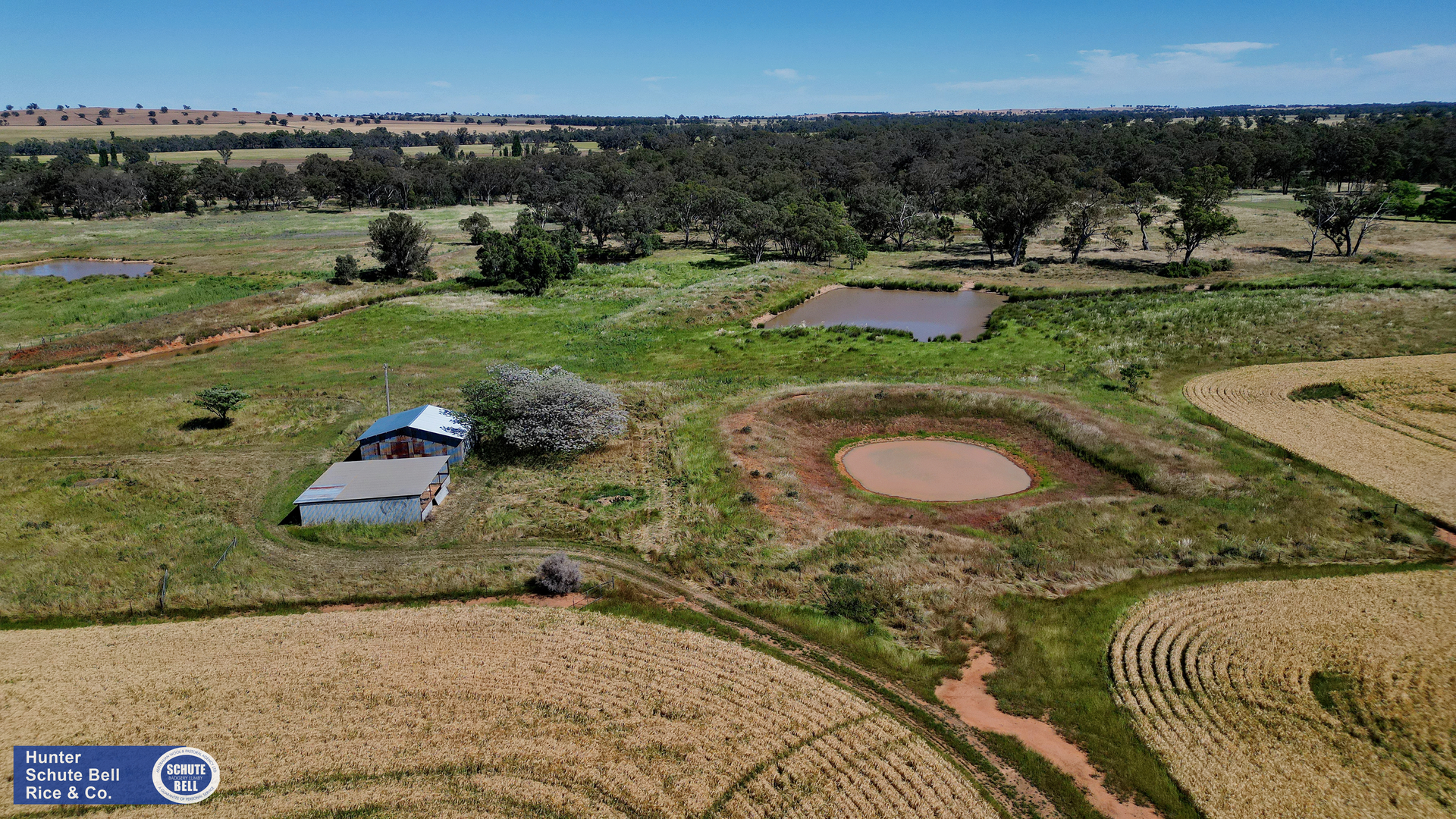 9889 Renshaw McGirr Way, Parkes Auction by Farmbuy.com - image 21