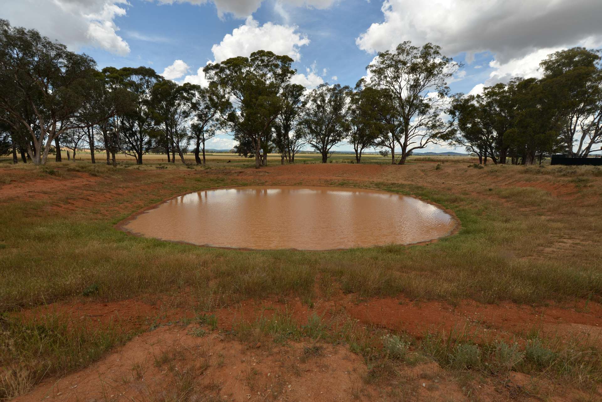 9889 Renshaw McGirr Way, Parkes Auction by Farmbuy.com - image 17