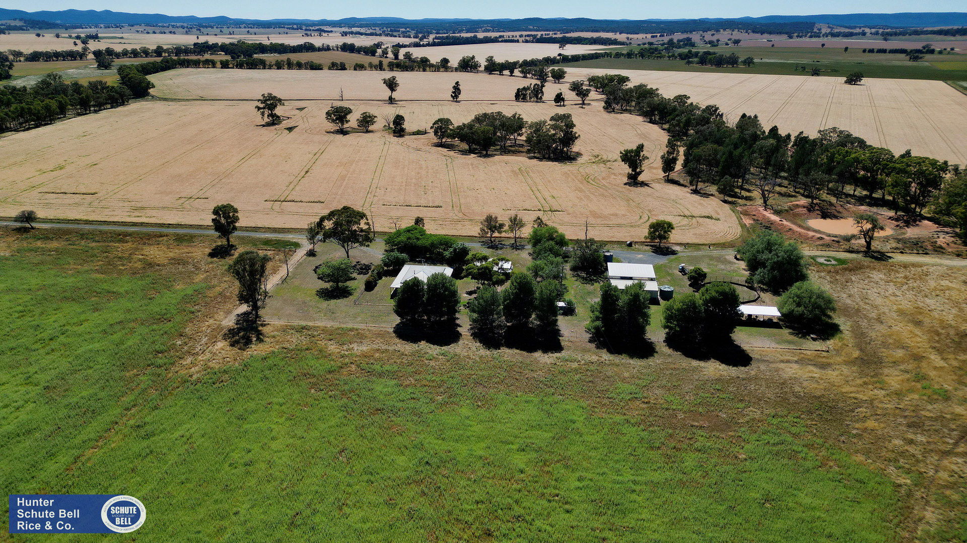 9889 Renshaw McGirr Way, Parkes Auction by Farmbuy.com - image 2