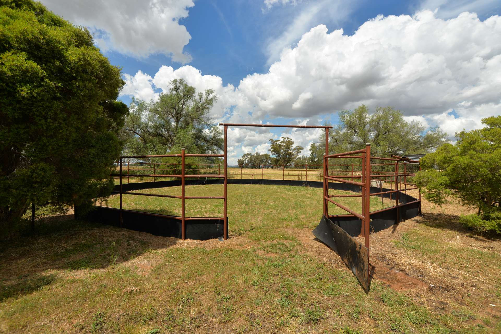 9889 Renshaw McGirr Way, Parkes Auction by Farmbuy.com - image 19
