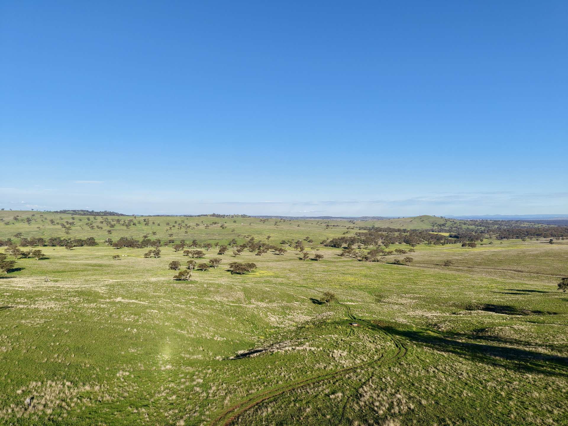 "Yallambee" & "Rangeview" Vinegaroy Road, Cassilis For Sale by Farmbuy.com - image 14