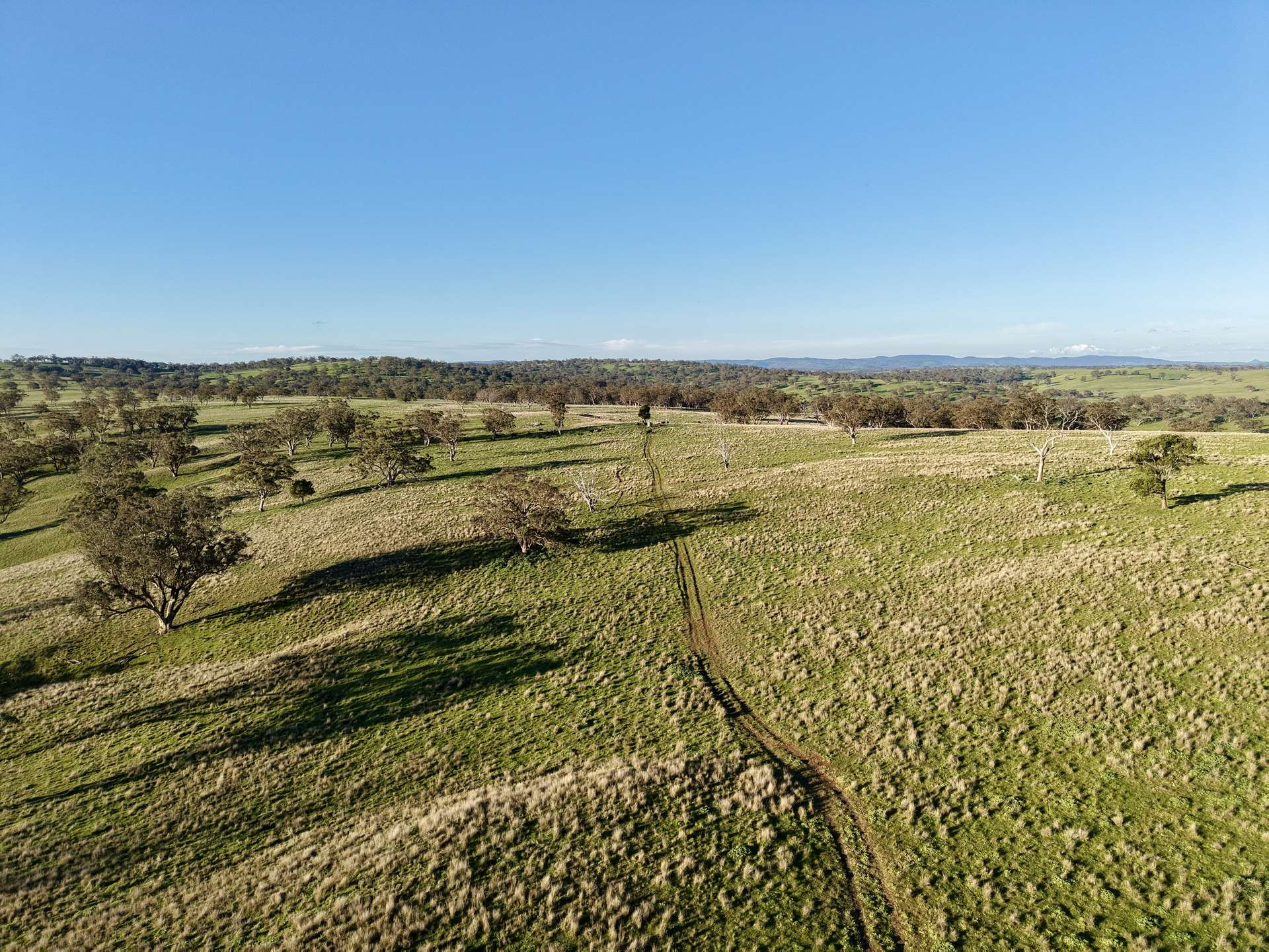 "Yallambee" & "Rangeview" Vinegaroy Road, Cassilis For Sale by Farmbuy.com - image 12