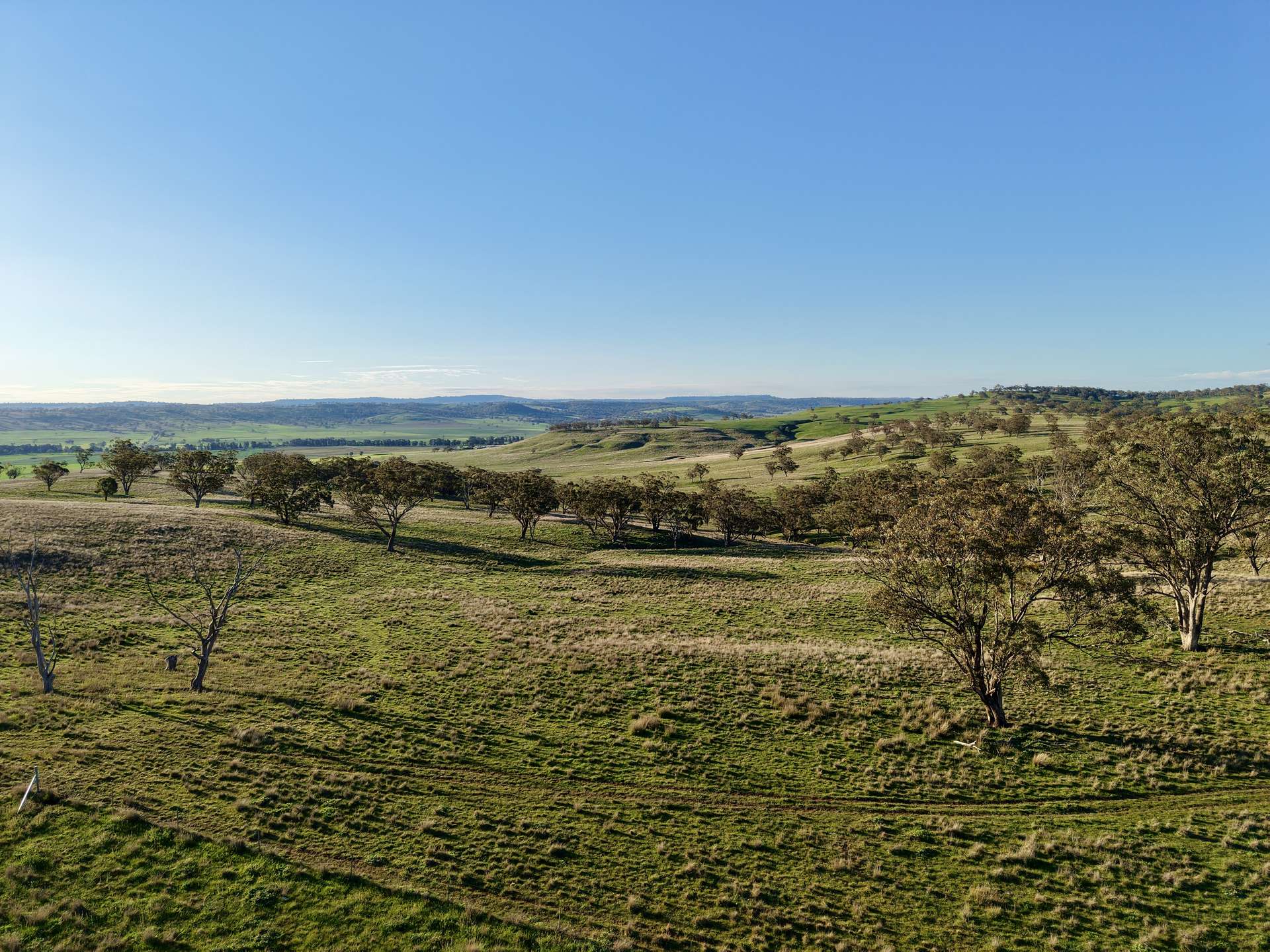 "Yallambee" & "Rangeview" Vinegaroy Road, Cassilis For Sale by Farmbuy.com - image 11