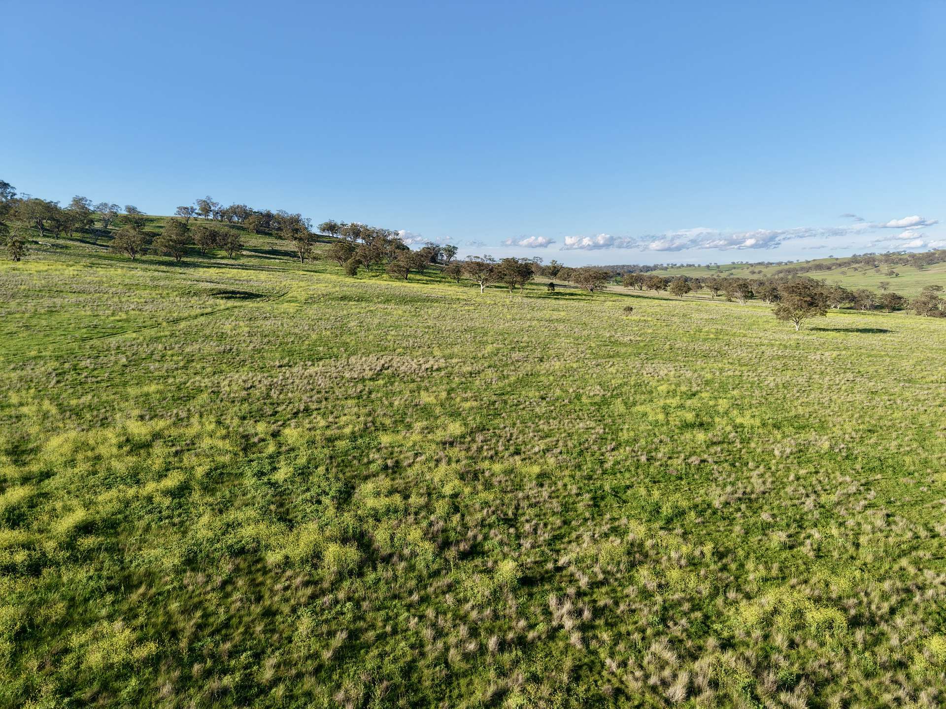 "Yallambee" & "Rangeview" Vinegaroy Road, Cassilis For Sale by Farmbuy.com - image 10