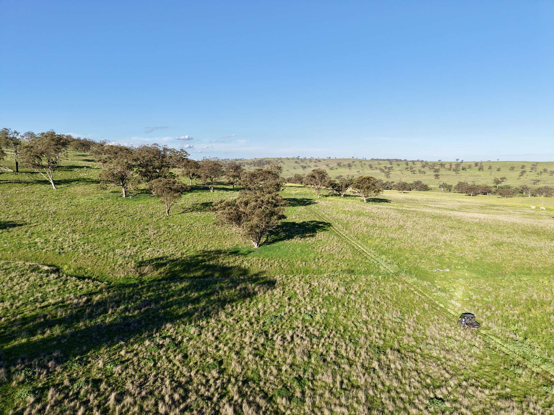 "Yallambee" & "Rangeview" Vinegaroy Road, Cassilis For Sale by Farmbuy.com - image 8