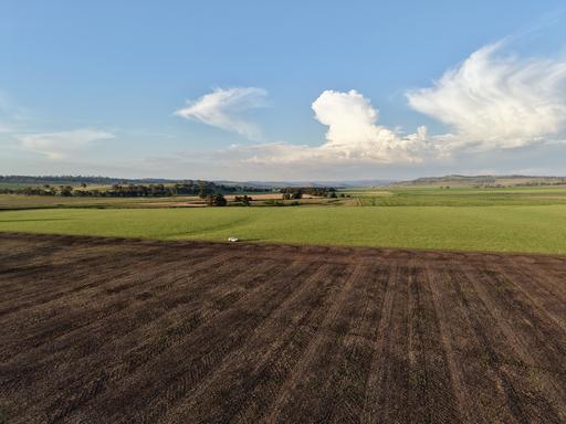 Farm For Sale - NSW - Cassilis - 2329 - "Yallambee" & "Rangeview" - A Versatile Farming & Grazing Aggregation 