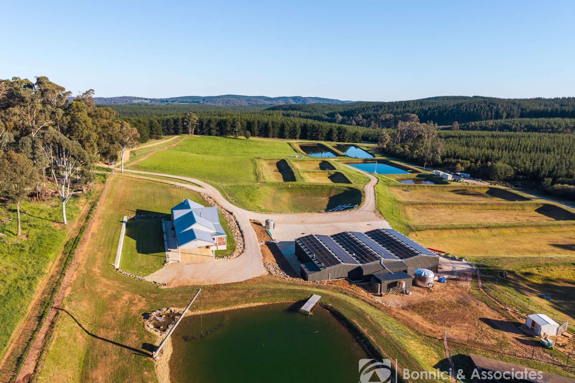 189 Sinclair Road, Stanley For Sale by Farmbuy.com - image 2