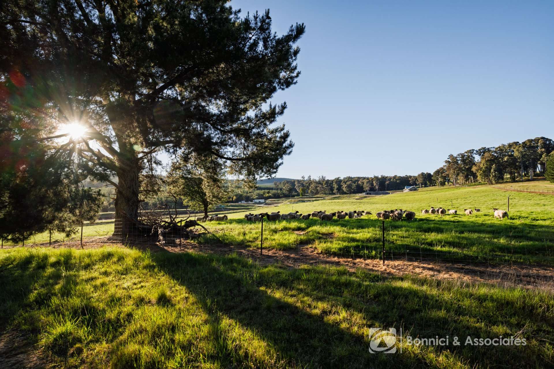 189 Sinclair Road, Stanley For Sale by Farmbuy.com - image 26