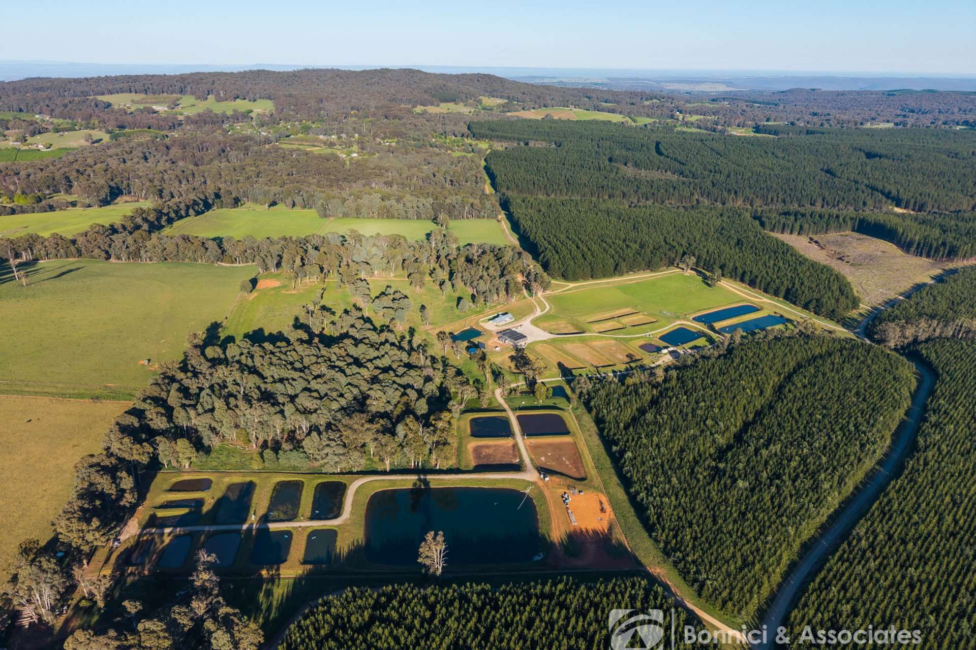 189 Sinclair Road, Stanley For Sale by Farmbuy.com - image 3