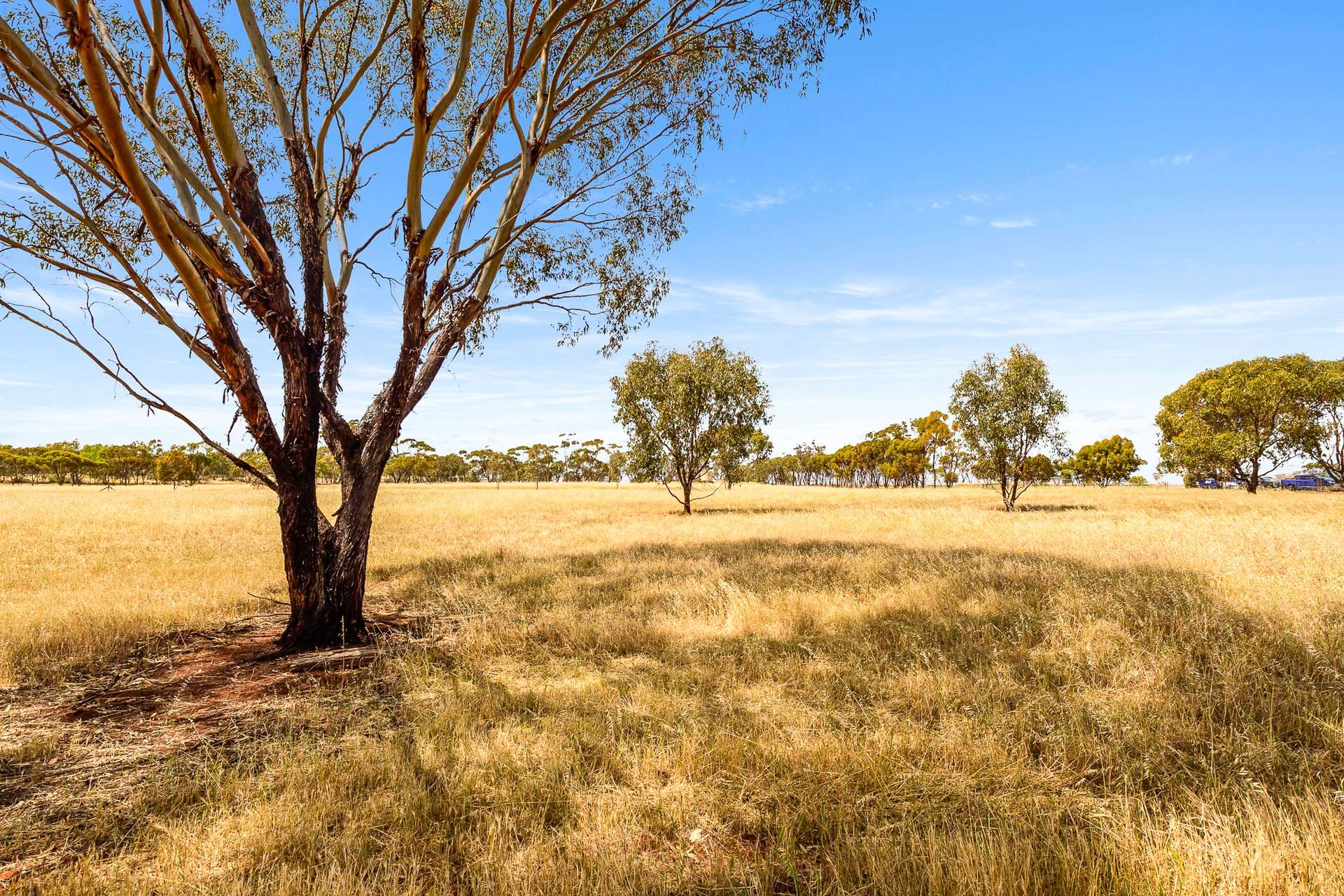 Lot 19,  Binning Close, Bejoording For Sale by Farmbuy.com - image 14