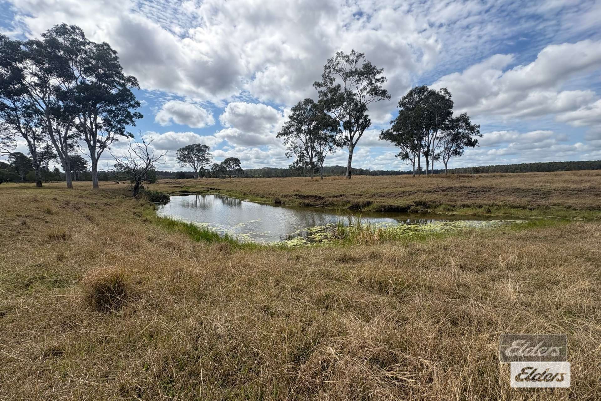 Lot 186 Bruce Highway, Tiaro For Sale by Farmbuy.com - image 10