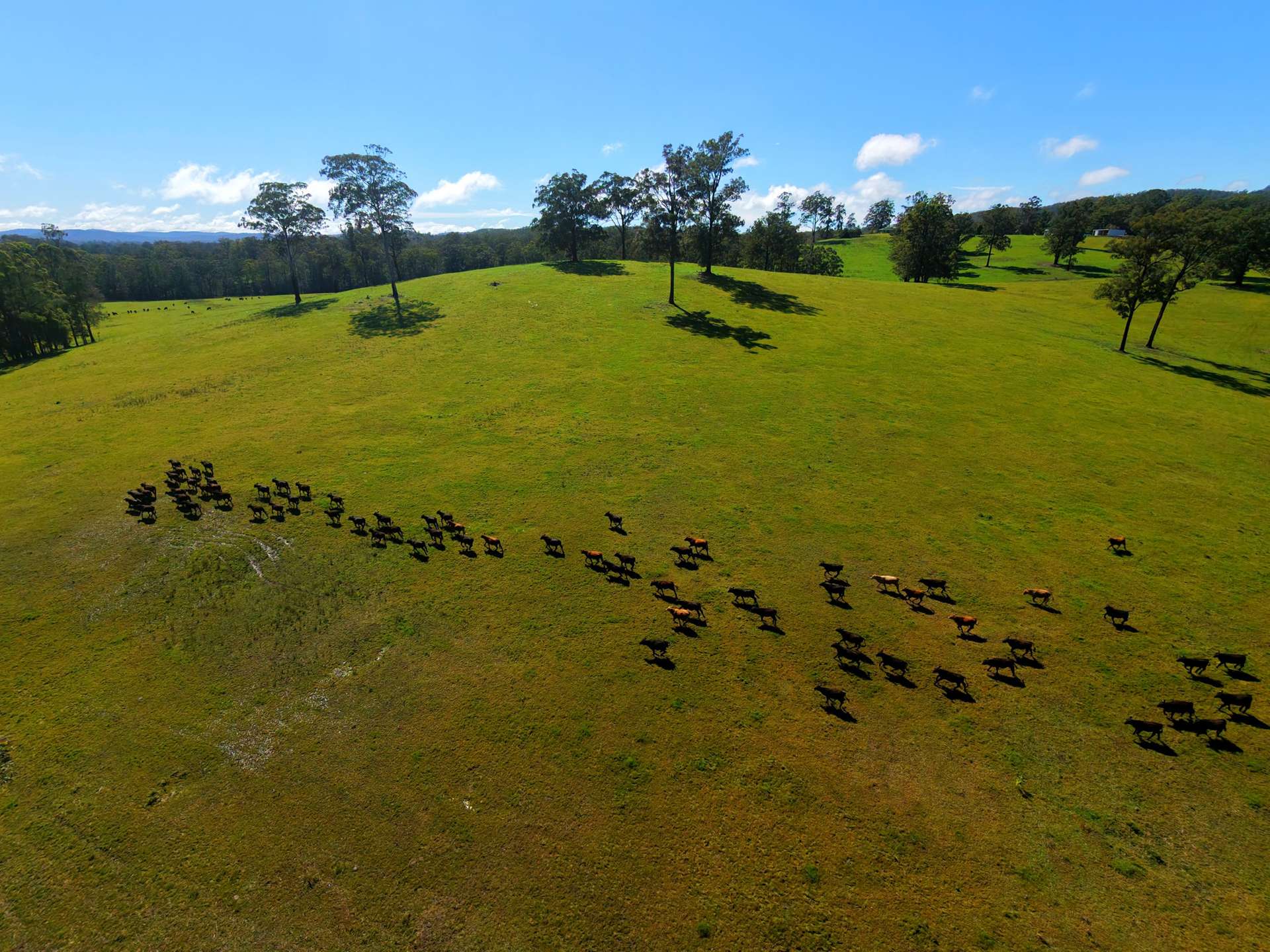 258 Waterhole Road, Rollands Plains For Sale by Farmbuy.com - image 5
