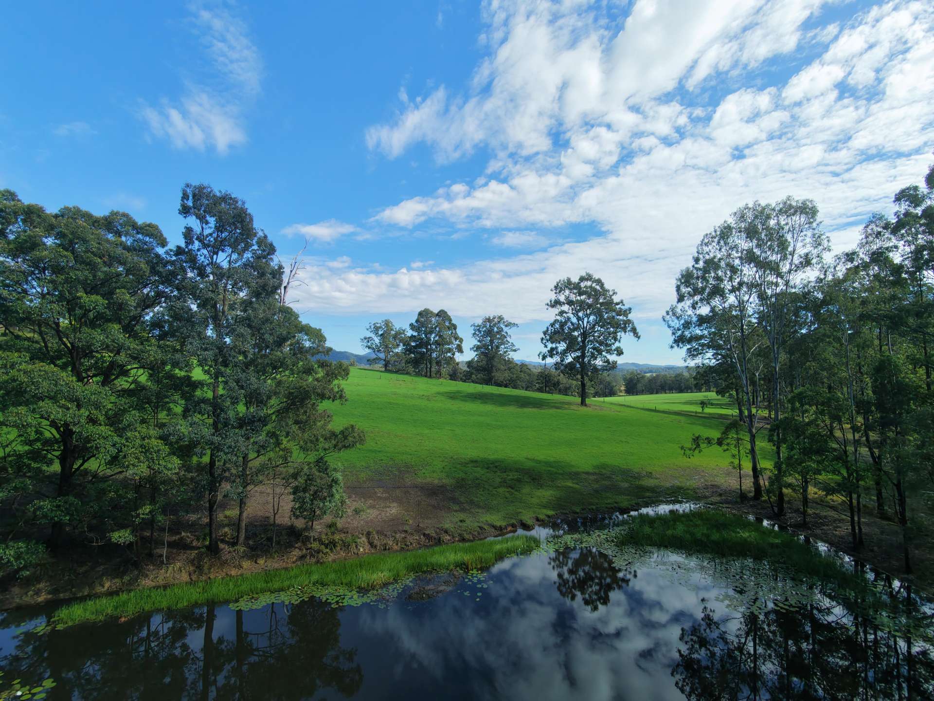 258 Waterhole Road, Rollands Plains For Sale by Farmbuy.com - image 8