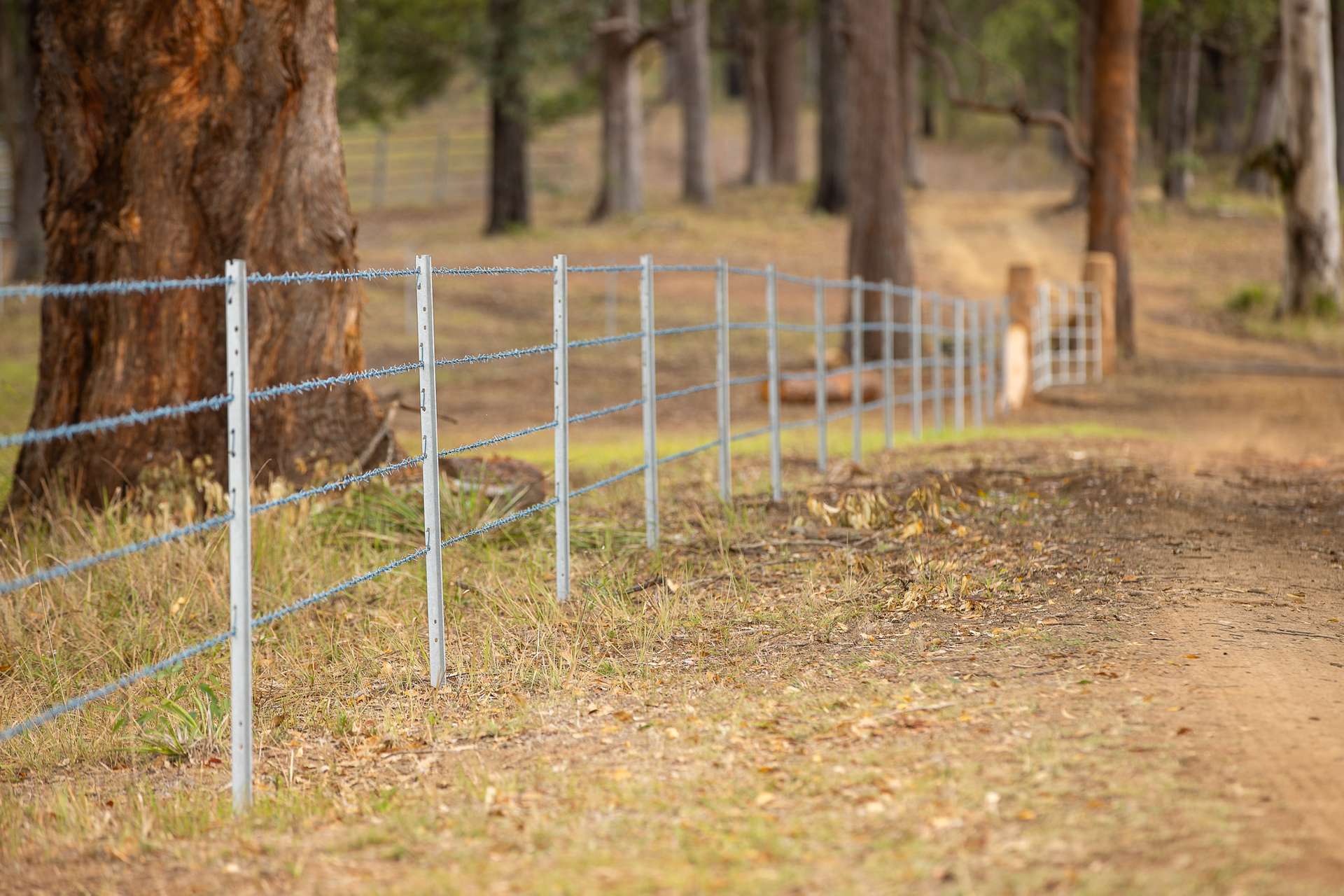 258 Waterhole Road, Rollands Plains For Sale by Farmbuy.com - image 9