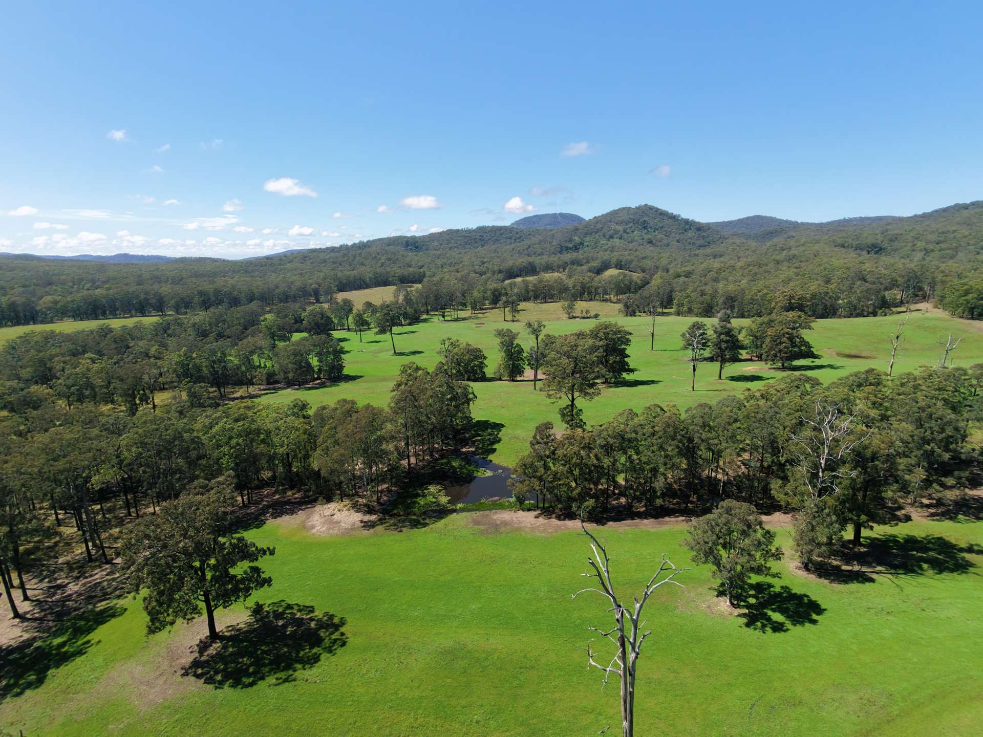 258 Waterhole Road, Rollands Plains For Sale by Farmbuy.com - image 2
