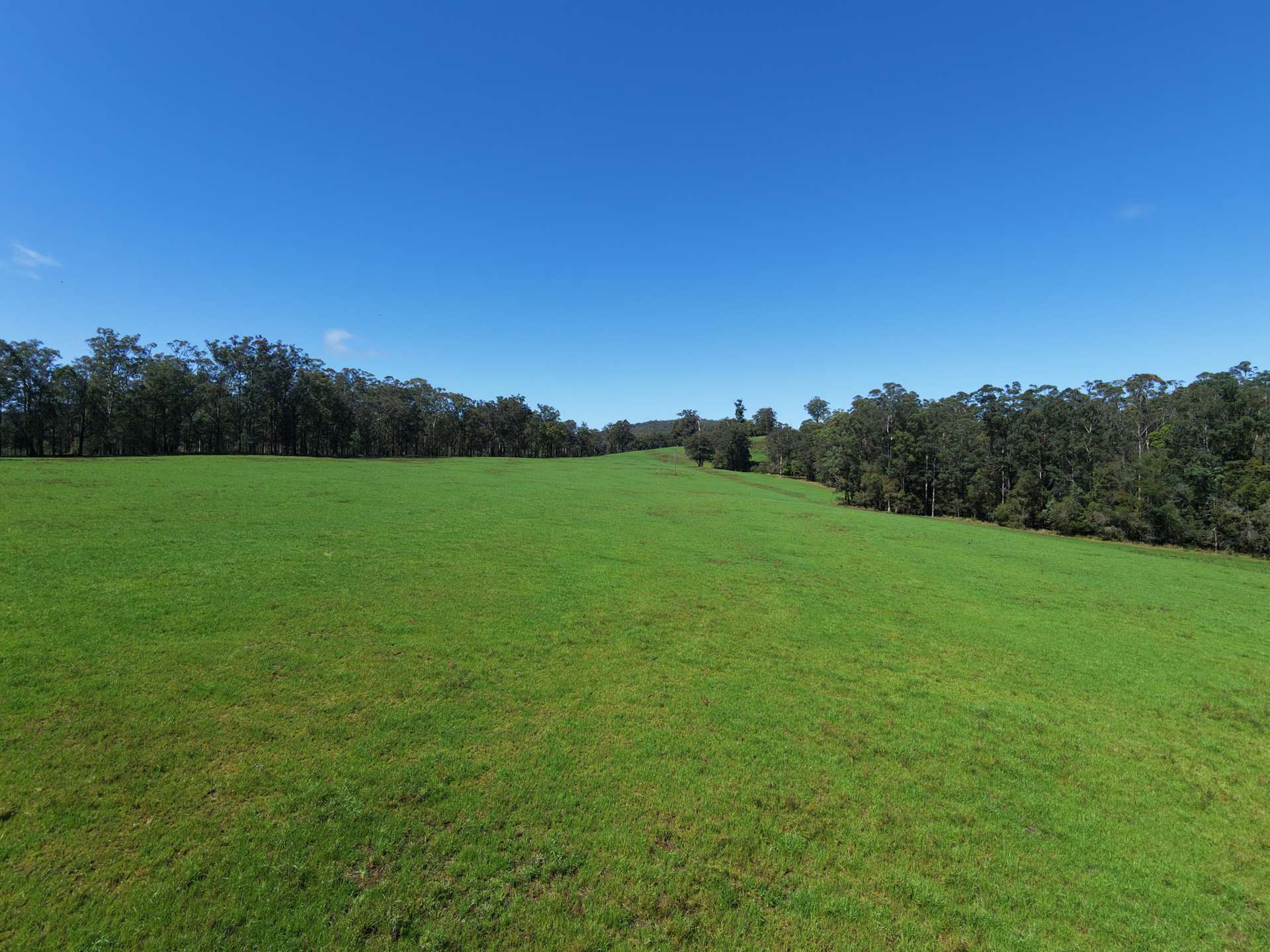 258 Waterhole Road, Rollands Plains For Sale by Farmbuy.com - image 4