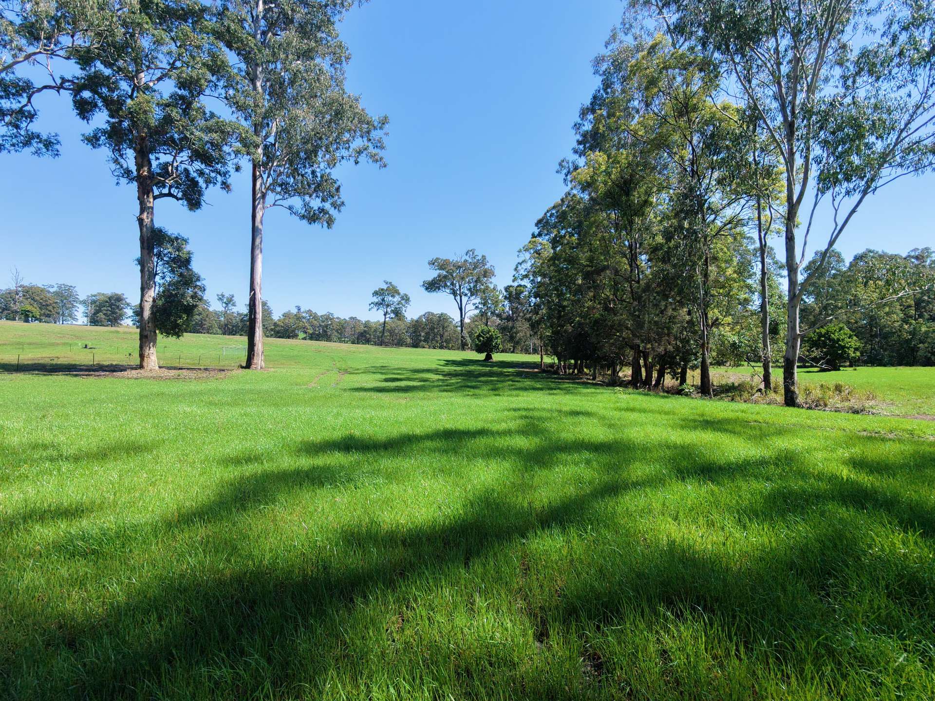 258 Waterhole Road, Rollands Plains For Sale by Farmbuy.com - image 7