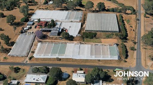 Farm For Sale - WA - Baldivis - 6171 - PRIME METROPOLITAN LANDHOLDING WITH HORTICULTURAL FACILITIES & A CHARMING FAMILY HOME 