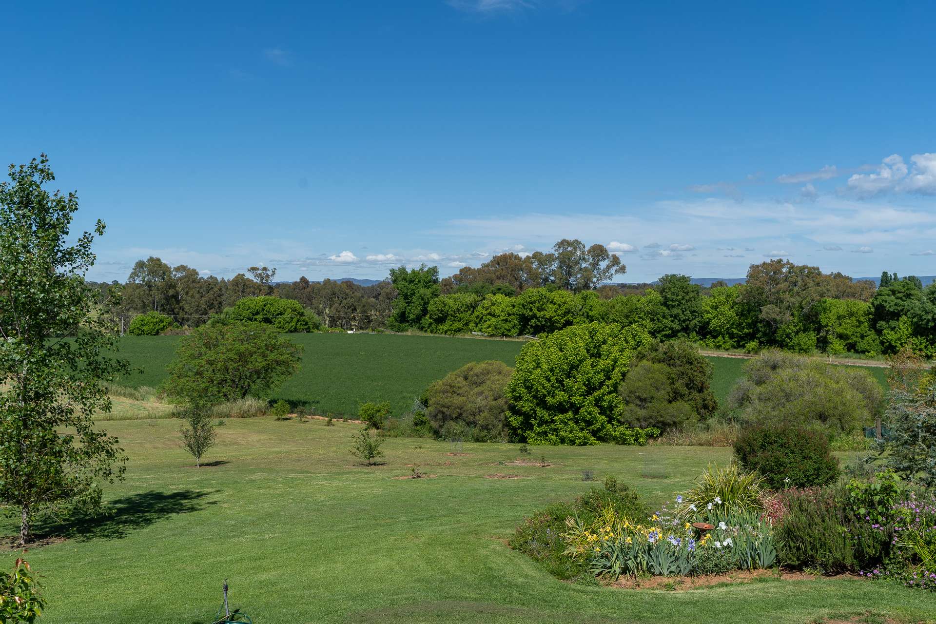 5 Riverview Place, Cowra For Sale by Farmbuy.com - image 25
