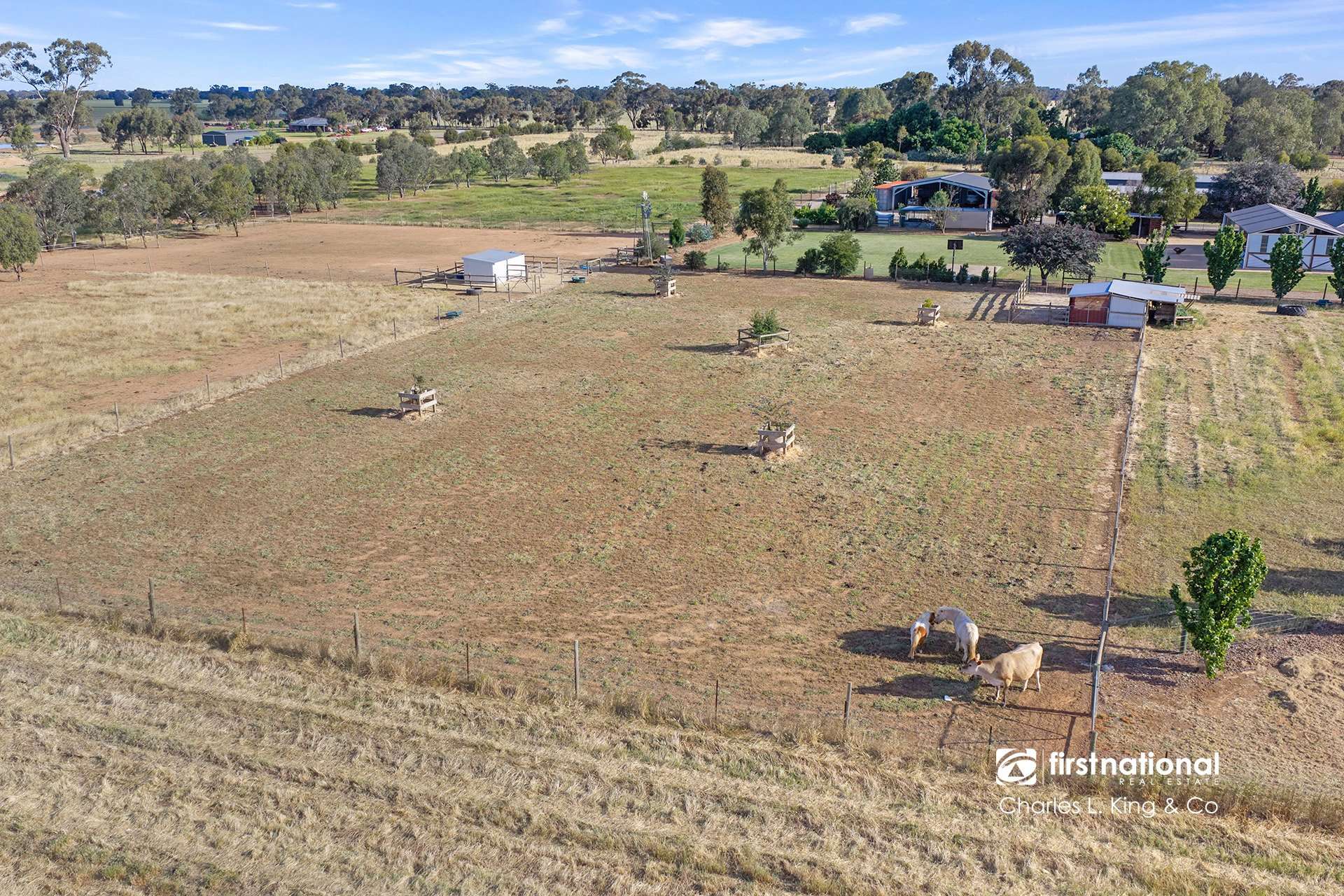 162 Tandarra Road, Moama For Sale by Farmbuy.com - image 22