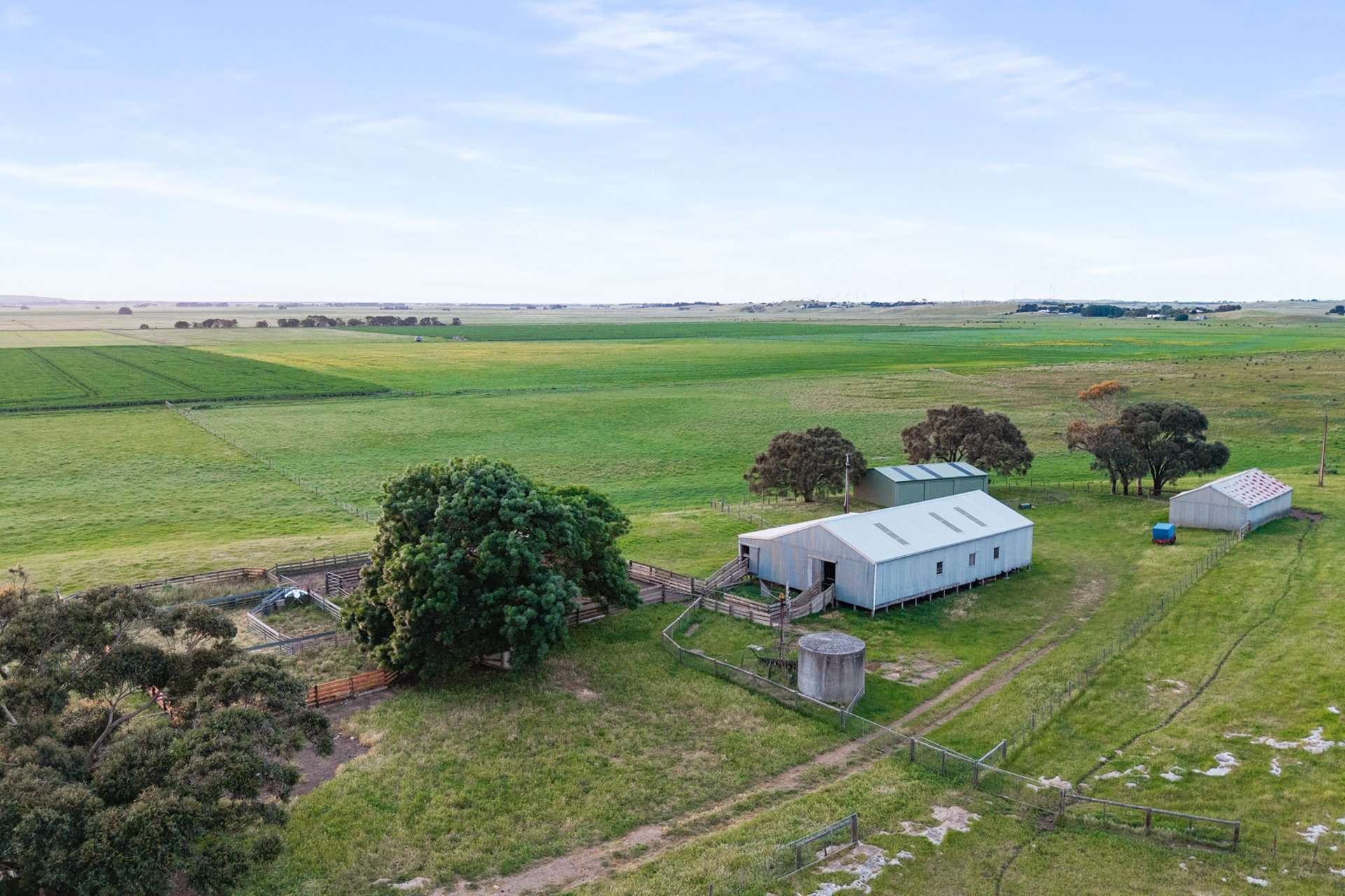 1161 Mayurra Road, Millicent For Sale by Farmbuy.com - image 13