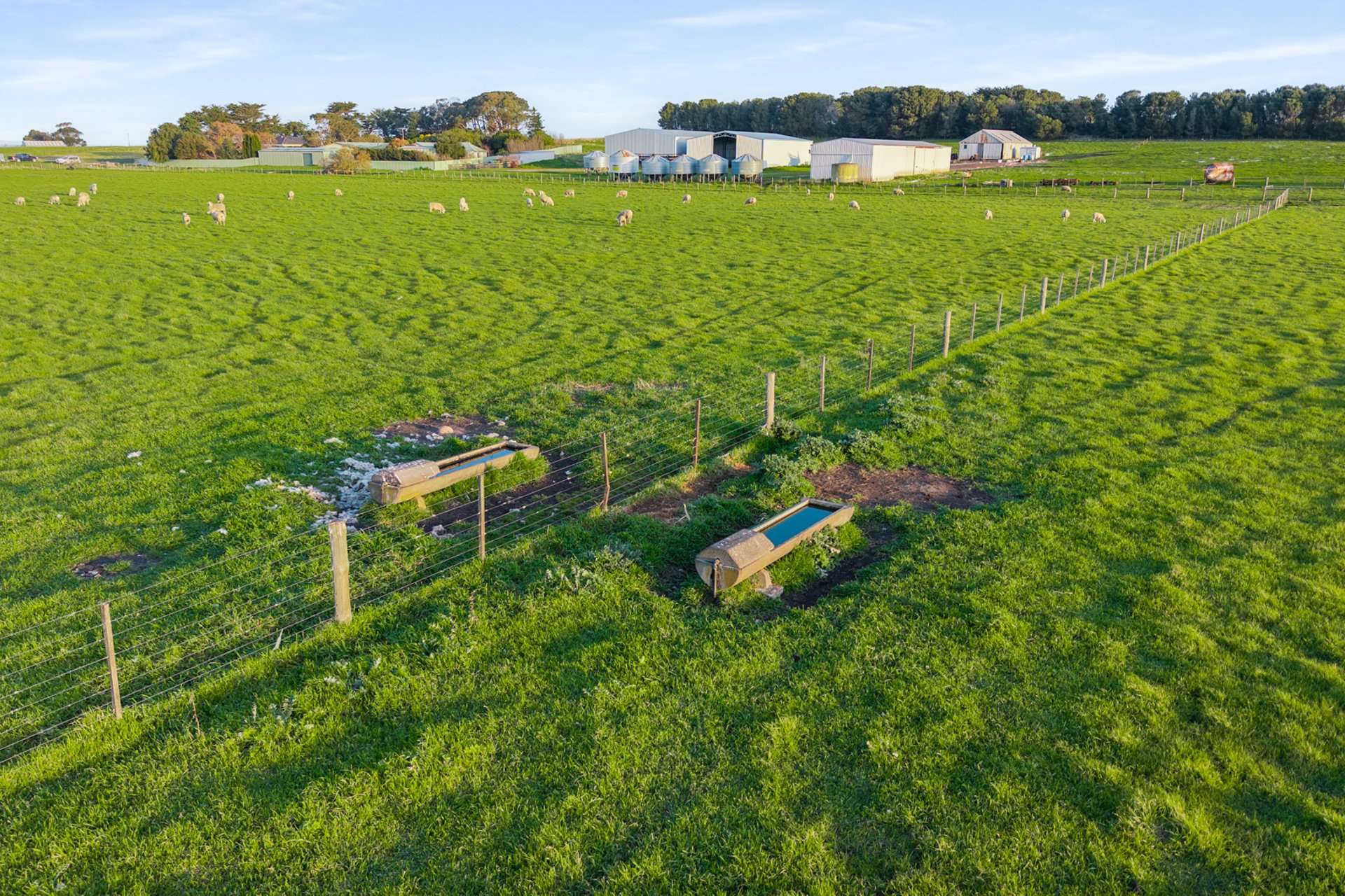 1161 Mayurra Road, Millicent For Sale by Farmbuy.com - image 16