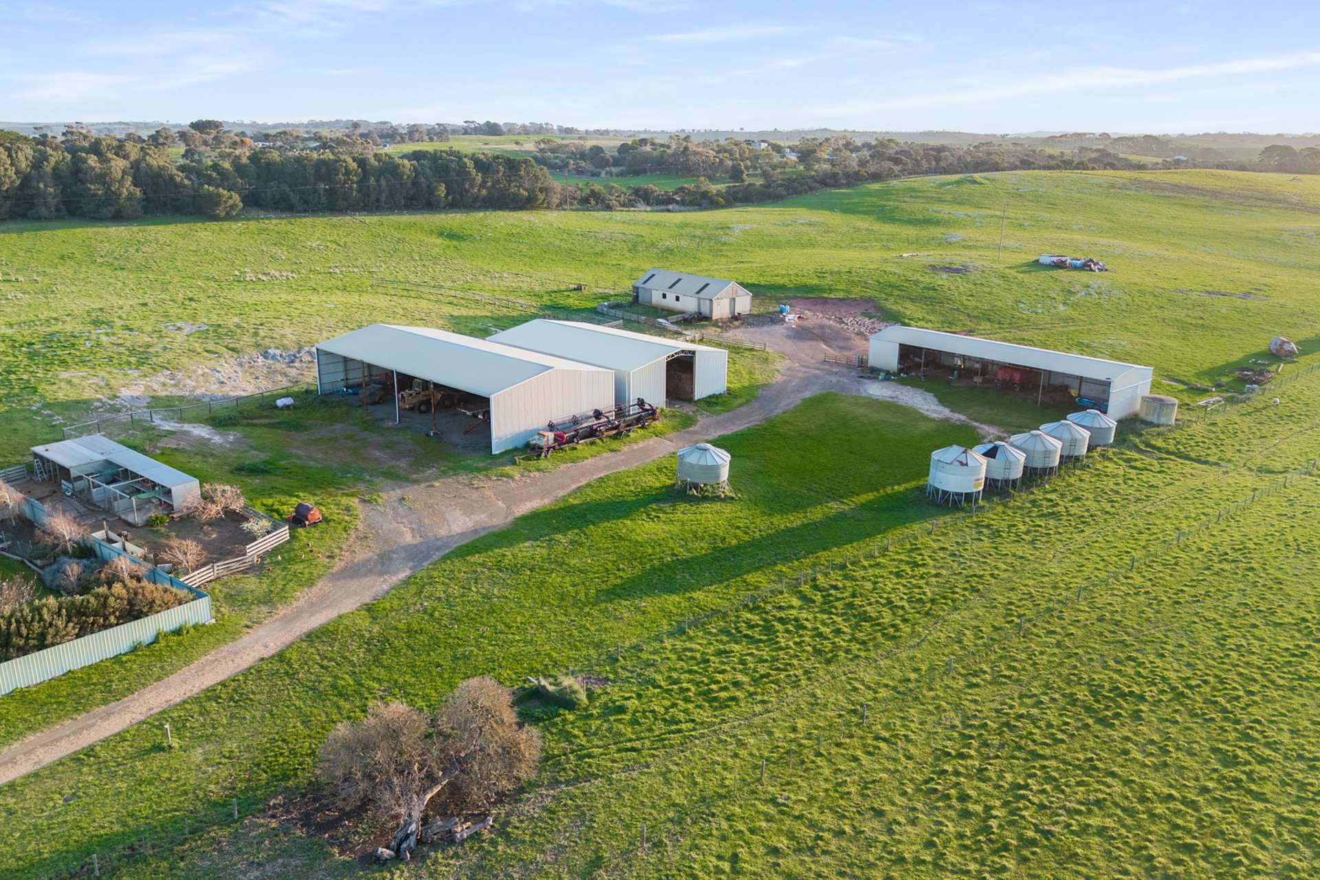 1161 Mayurra Road, Millicent For Sale by Farmbuy.com - image 5