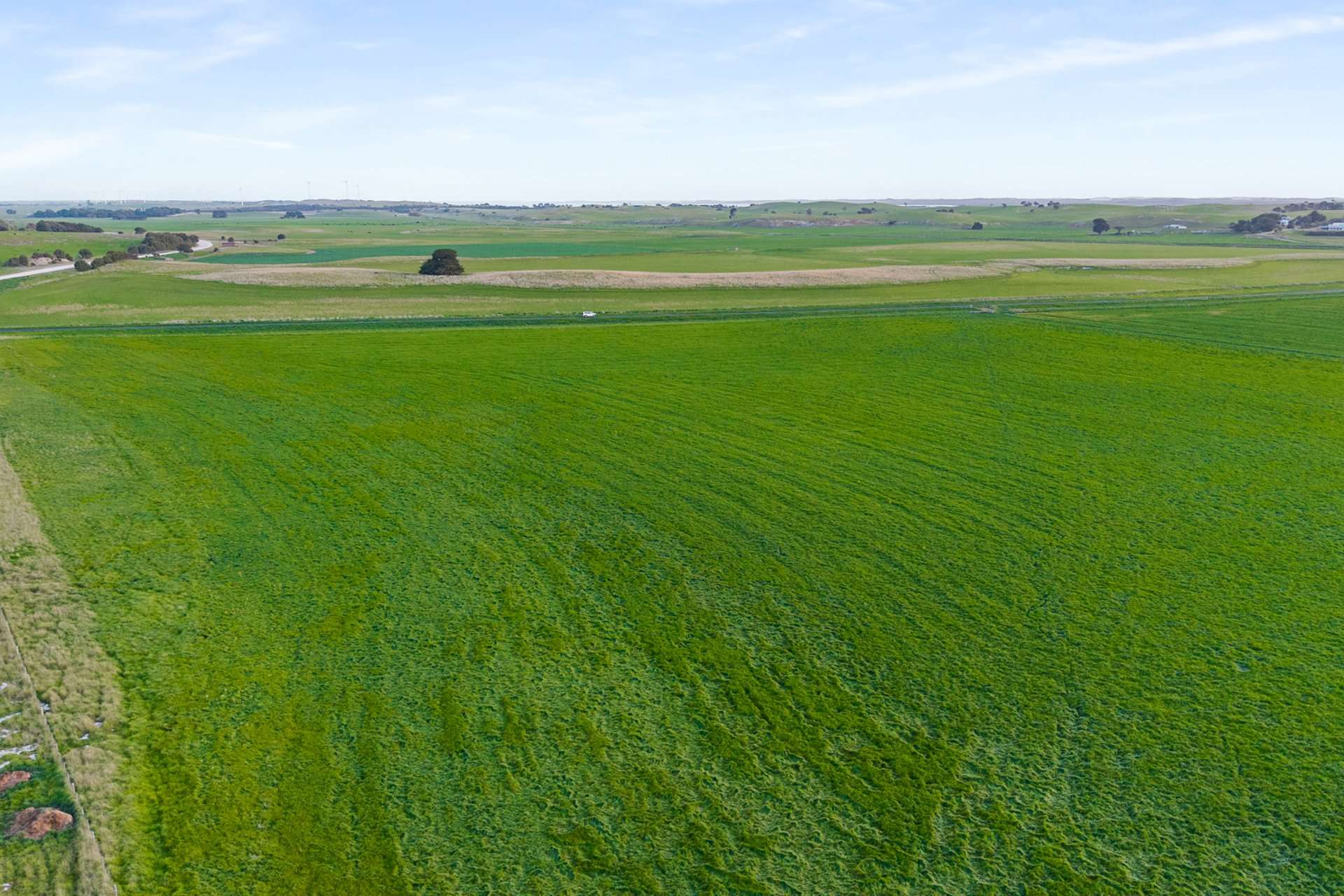 1161 Mayurra Road, Millicent For Sale by Farmbuy.com - image 6