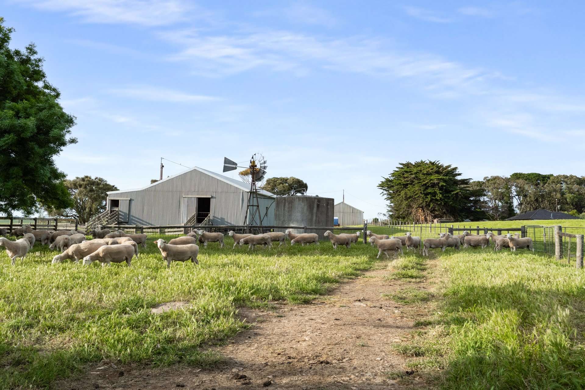 1161 Mayurra Road, Millicent For Sale by Farmbuy.com - image 12
