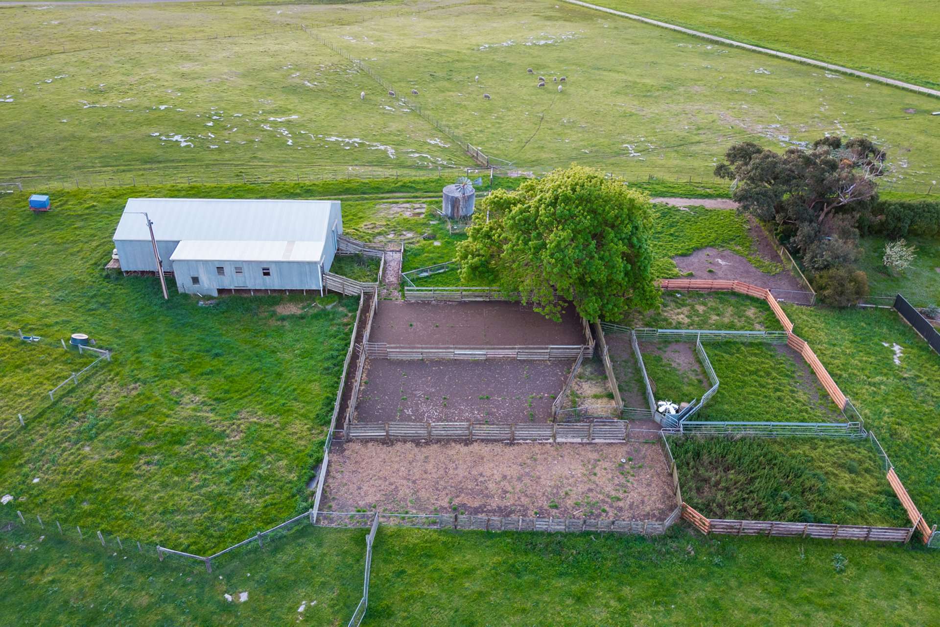 1161 Mayurra Road, Millicent For Sale by Farmbuy.com - image 11
