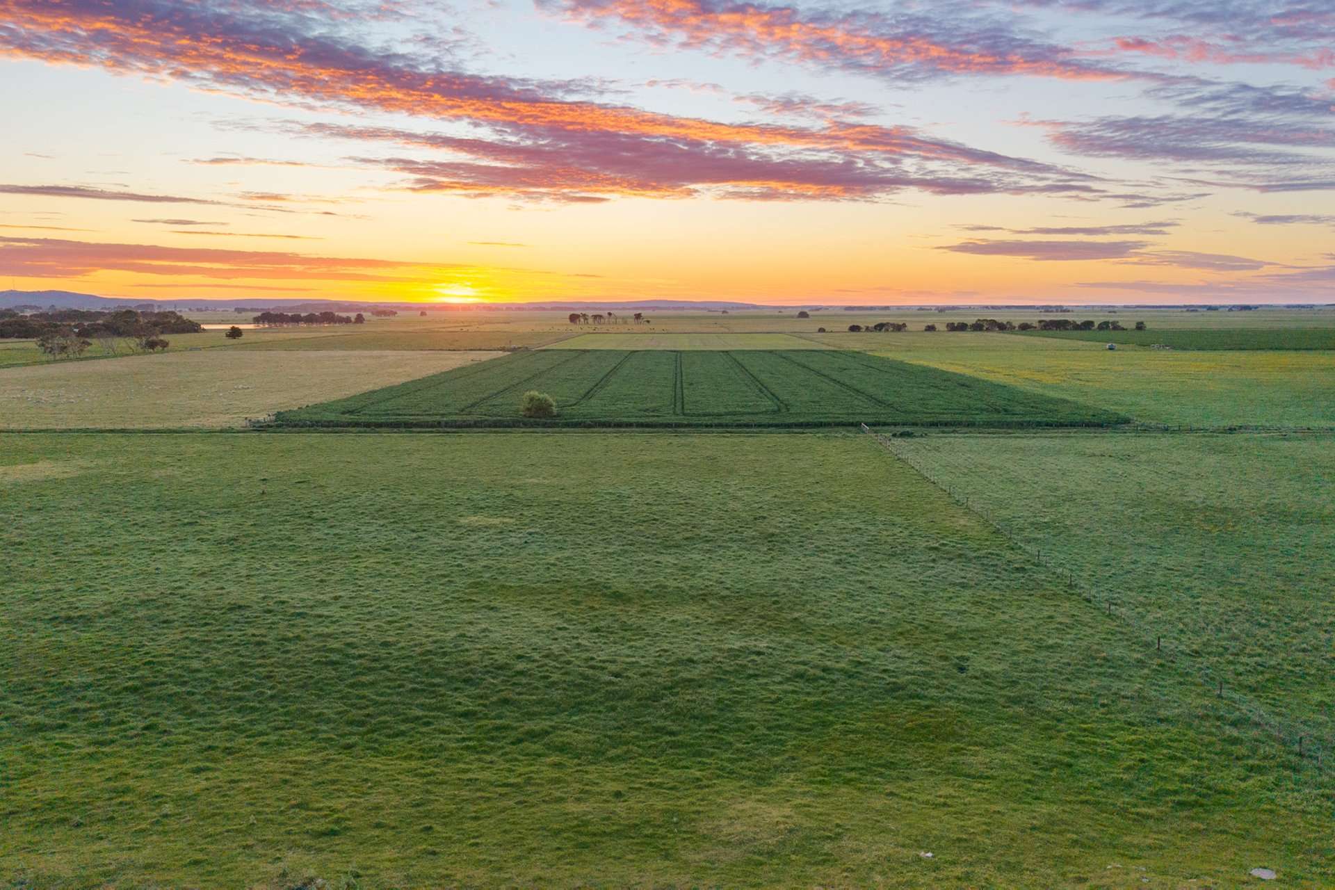 1161 Mayurra Road, Millicent For Sale by Farmbuy.com - image 3