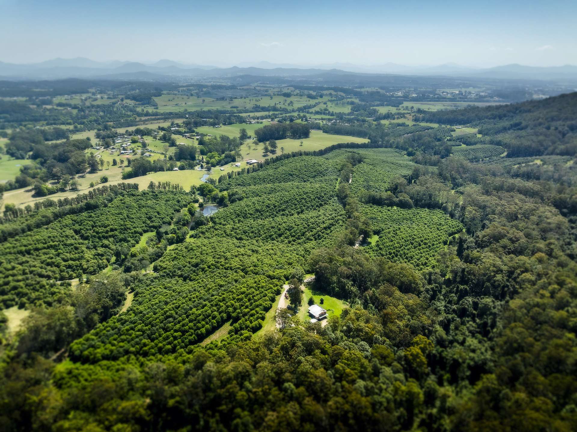 181 O'Dells Road, Macksville Auction by Farmbuy.com - image 16