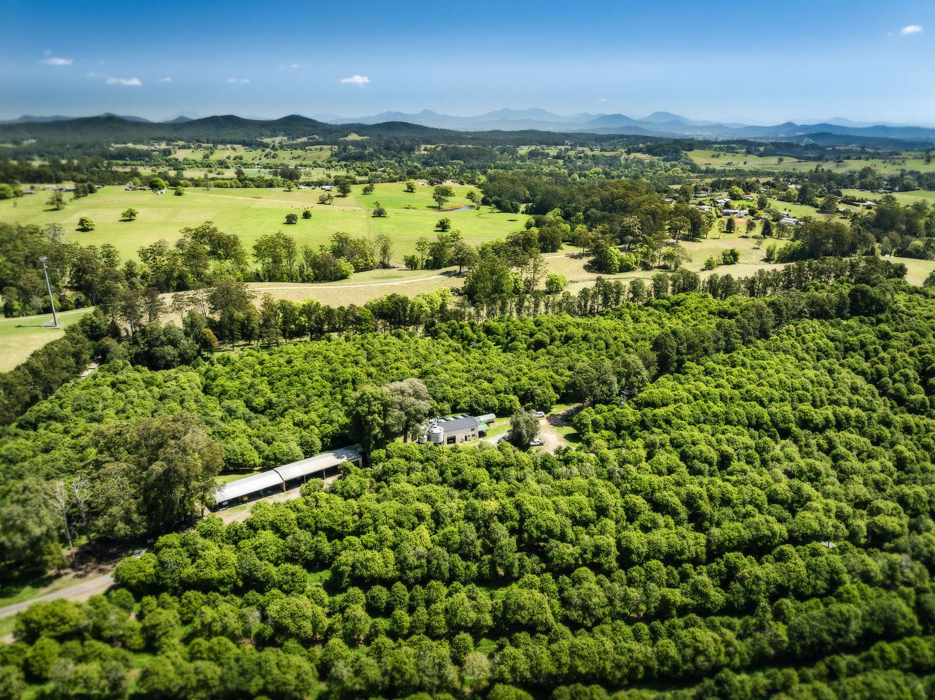 181 O'Dells Road, Macksville Auction by Farmbuy.com - image 15