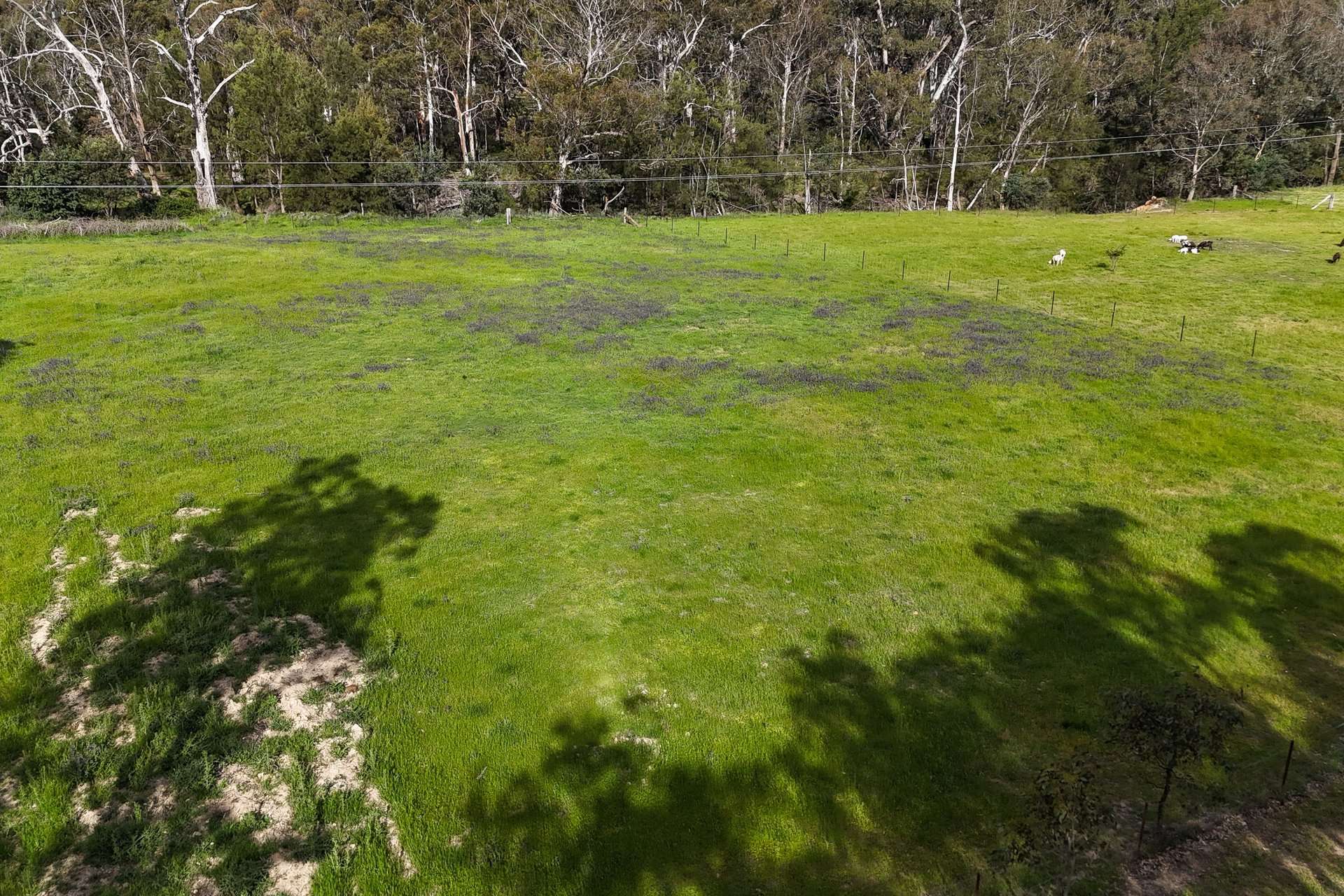 Lot 54, 1747 Windeyer Road, Mudgee For Sale by Farmbuy.com - image 4