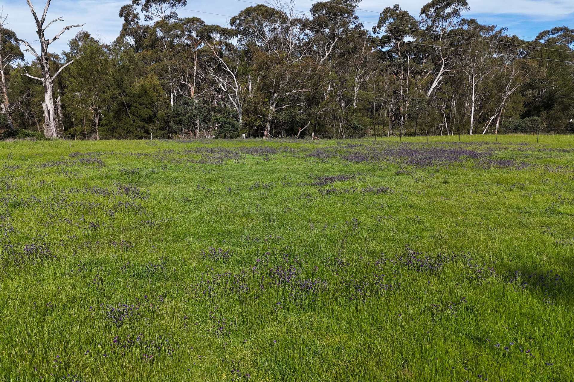Lot 54, 1747 Windeyer Road, Mudgee For Sale by Farmbuy.com - image 5